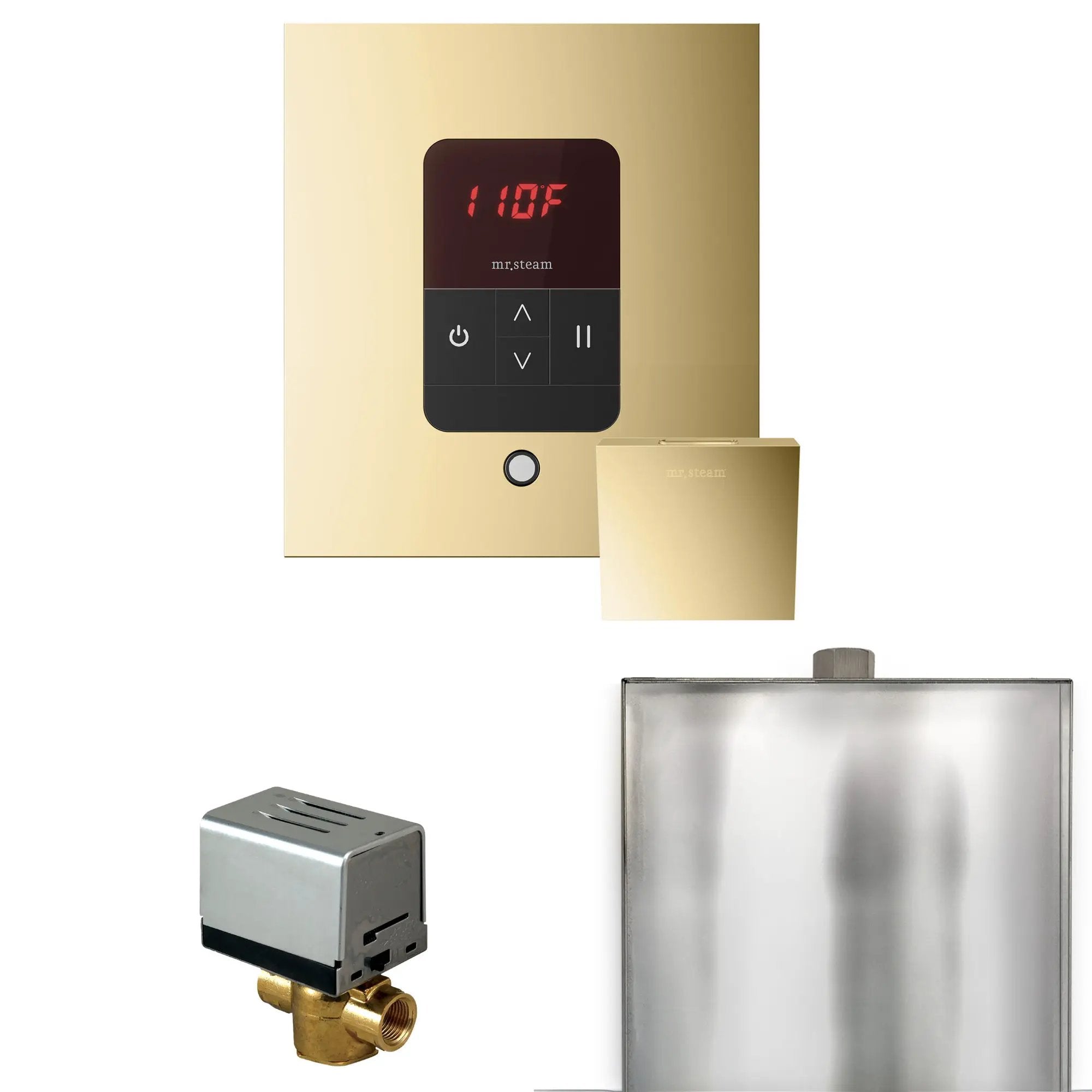 Mr Steam Basic Butler Steam Shower Control Package with Square iTempo Control and Steamhead by Mr Steam