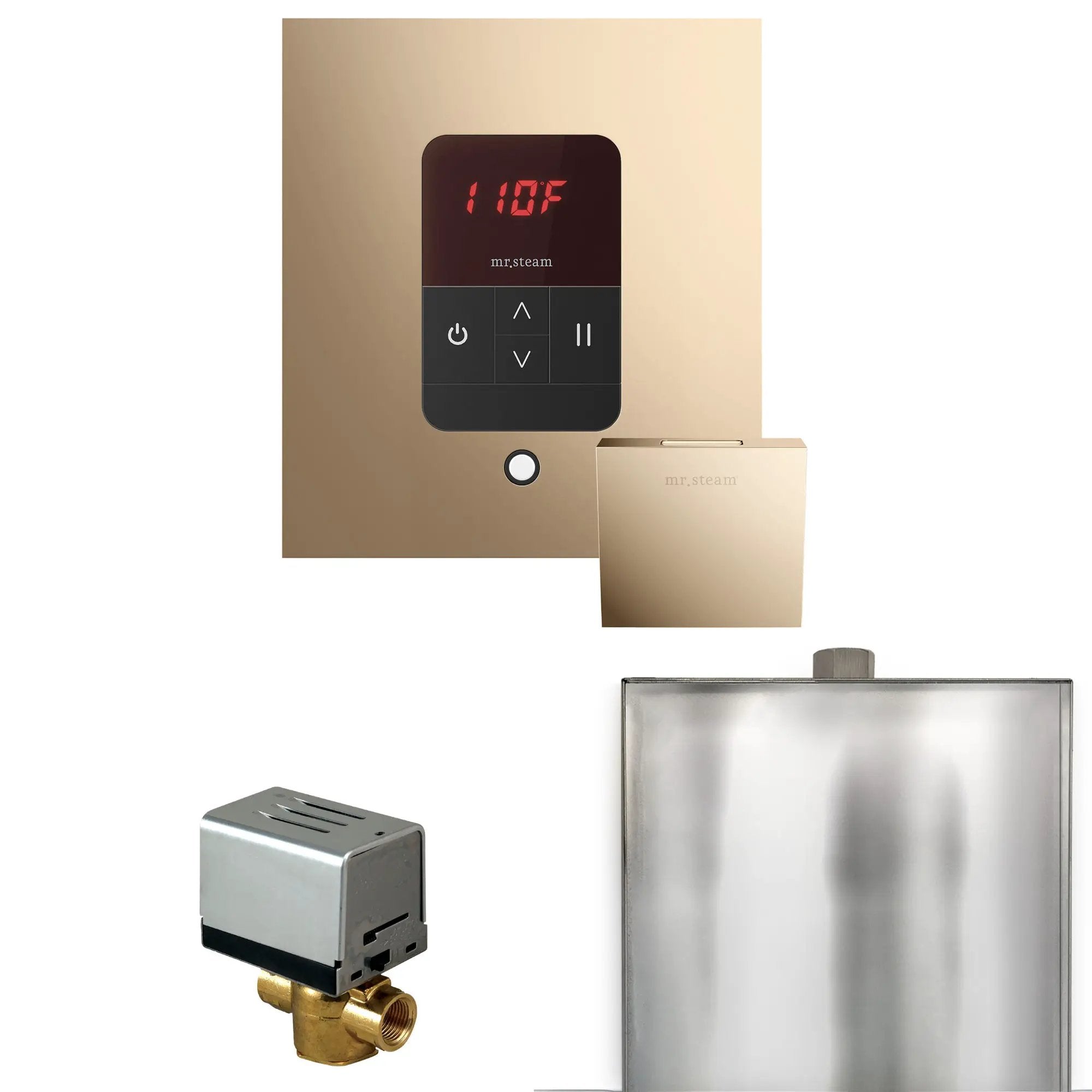 Mr Steam Basic Butler Steam Shower Control Package with Square iTempo Control and Steamhead by Mr Steam
