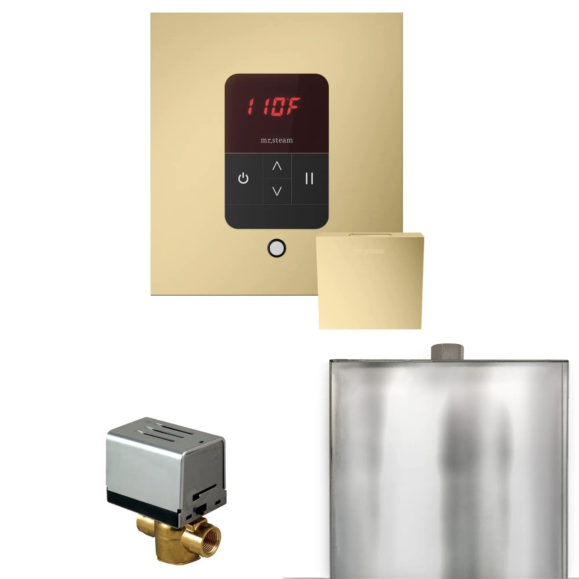 Mr Steam Basic Butler Steam Shower Control Package with Square iTempo Control and Steamhead by Mr Steam