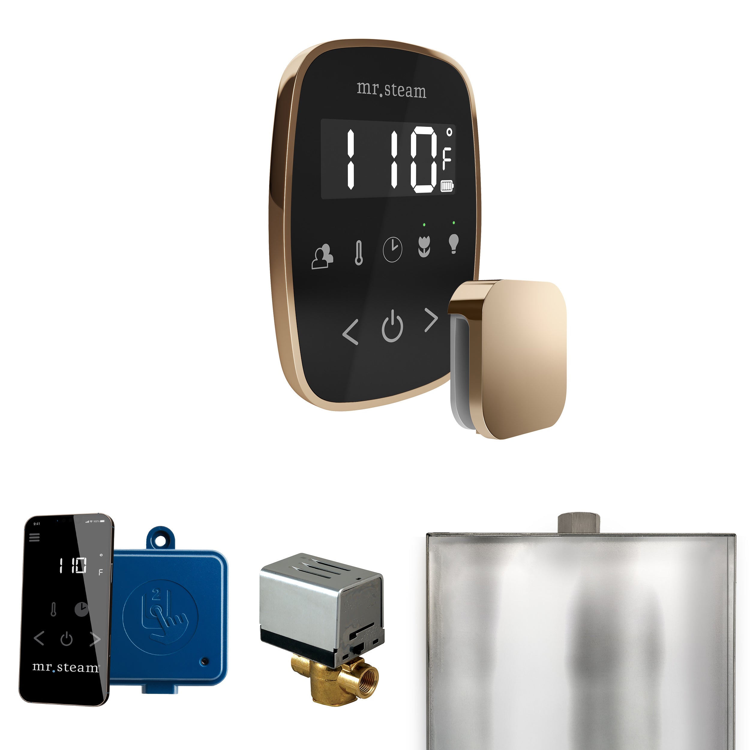 Mr Steam ButlerFlex Steam Shower Control Package with TempoFlex Control and Steamhead