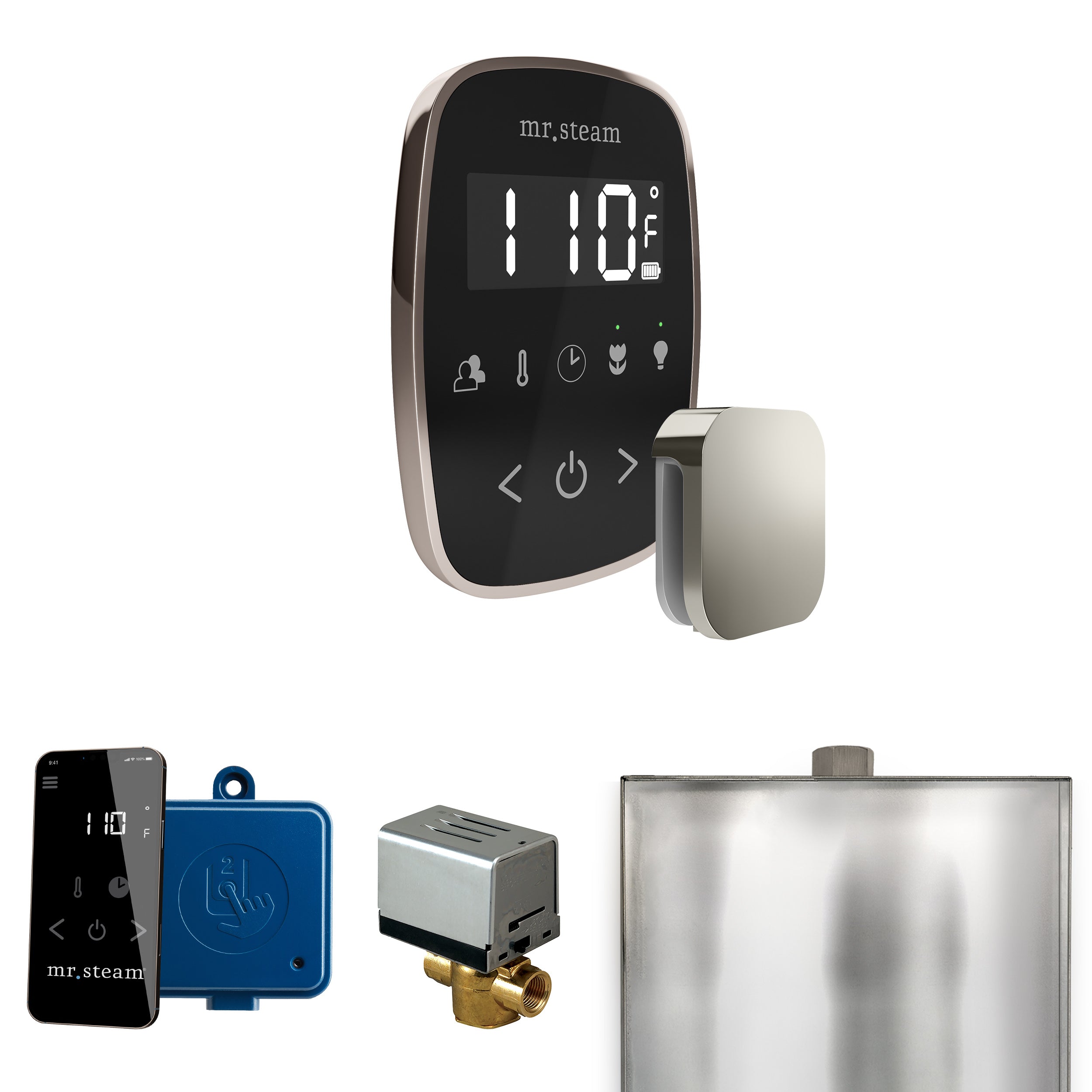 Mr Steam ButlerFlex Steam Shower Control Package with TempoFlex Control and Steamhead