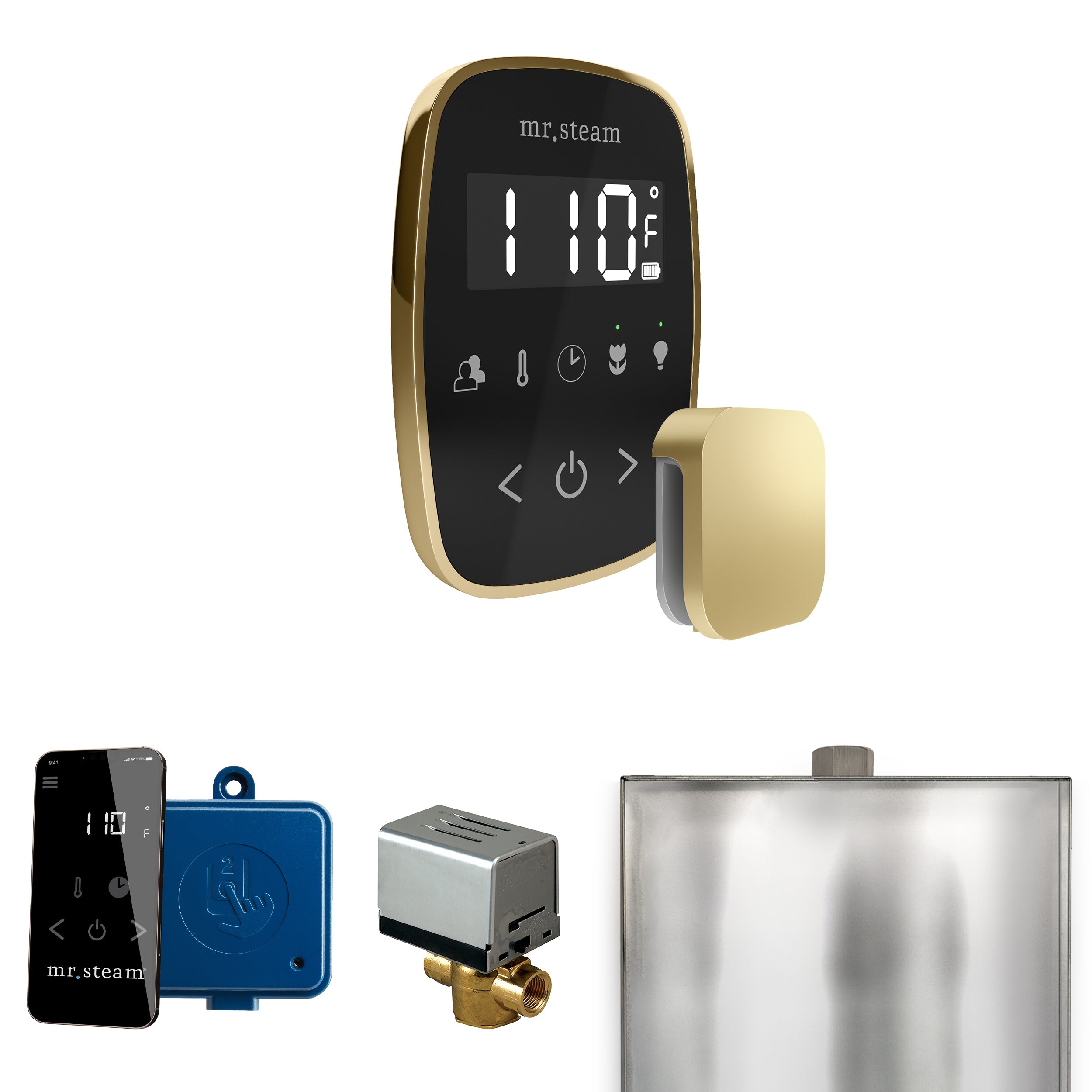 Mr Steam ButlerFlex Steam Shower Control Package with TempoFlex Control and Steamhead