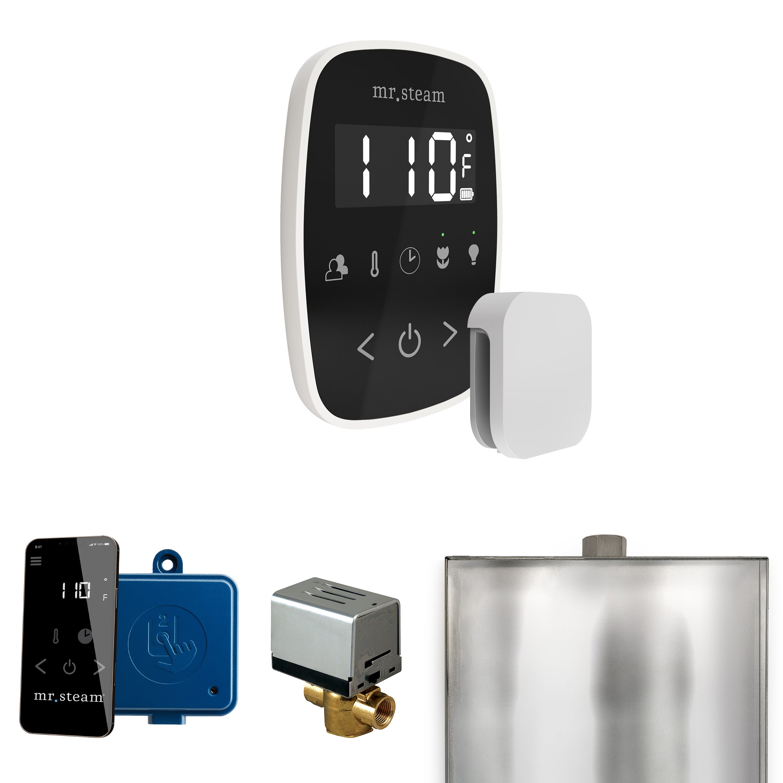 Mr Steam ButlerFlex Steam Shower Control Package with TempoFlex Control and Steamhead