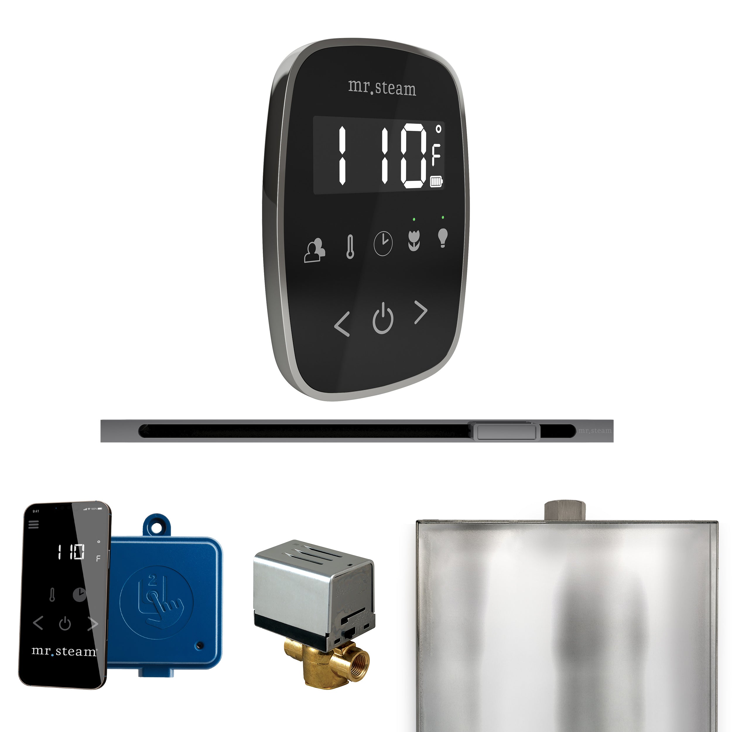 Mr Steam ButlerFlex Steam Shower Control Package with TempoFlex Control and Linear Steamhead