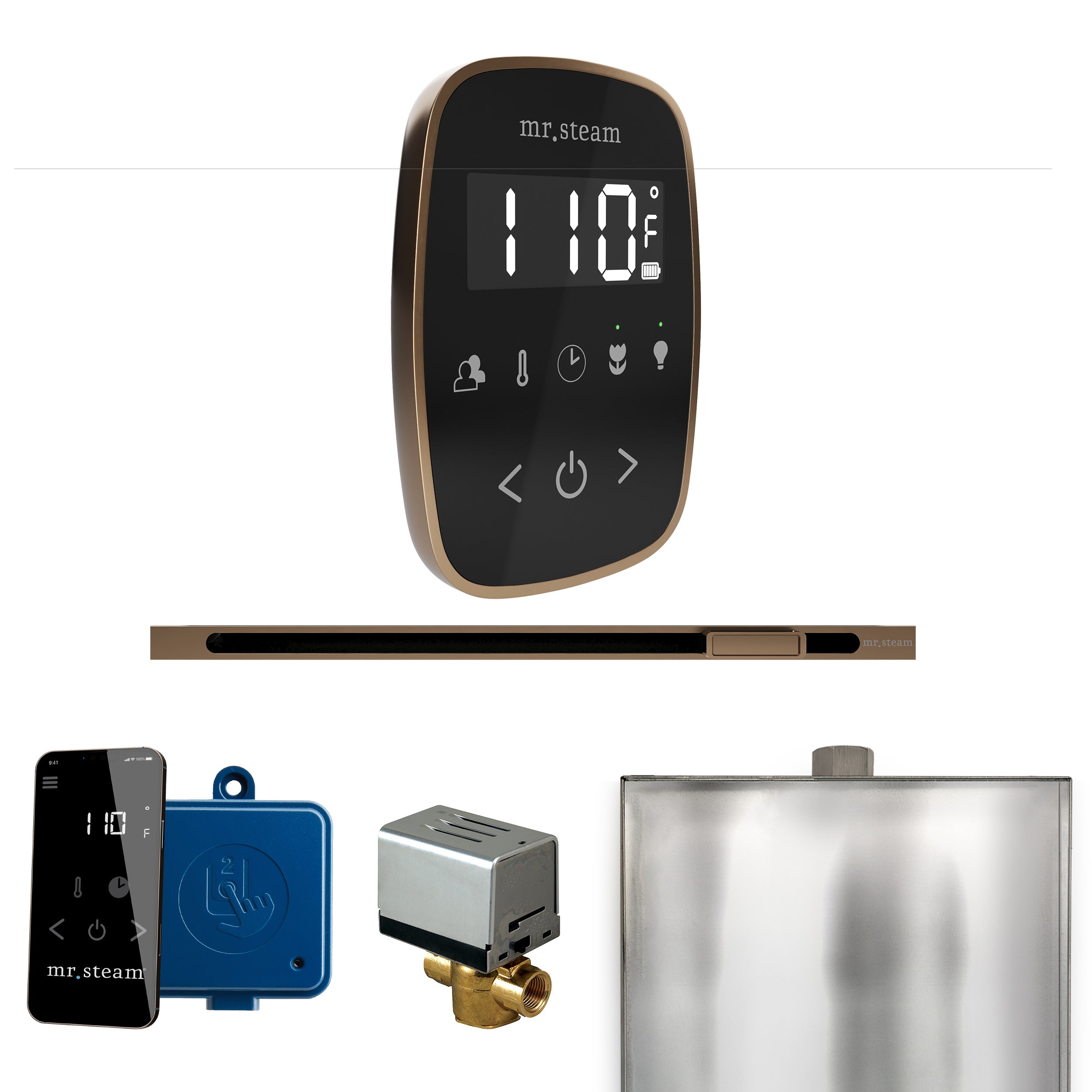 Mr Steam ButlerFlex Steam Shower Control Package with TempoFlex Control and Linear Steamhead