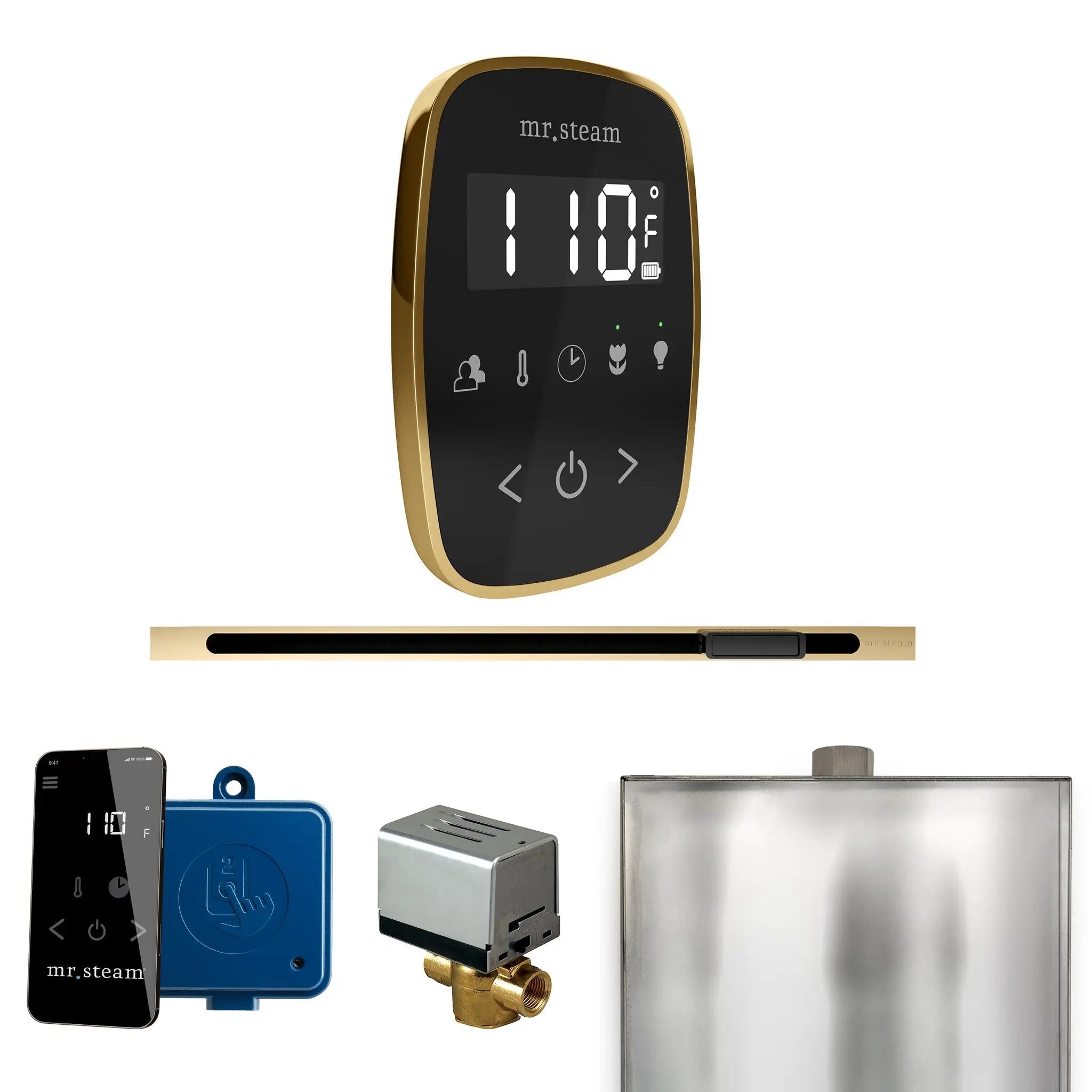 Mr Steam ButlerFlex Steam Shower Control Package with TempoFlex Control and Linear Steamhead by Mr Steam