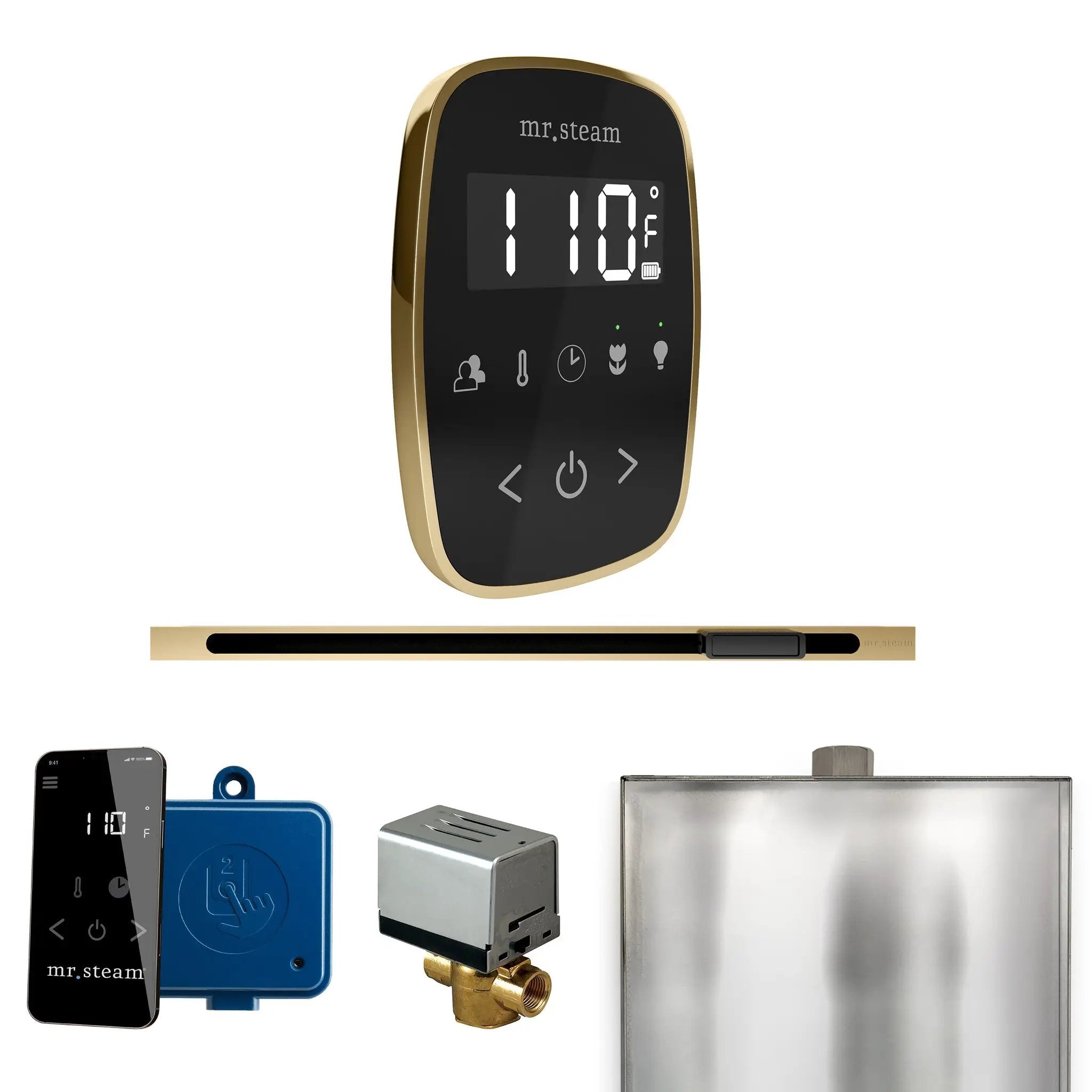Mr Steam ButlerFlex Steam Shower Control Package with TempoFlex Control and Linear Steamhead by Mr Steam
