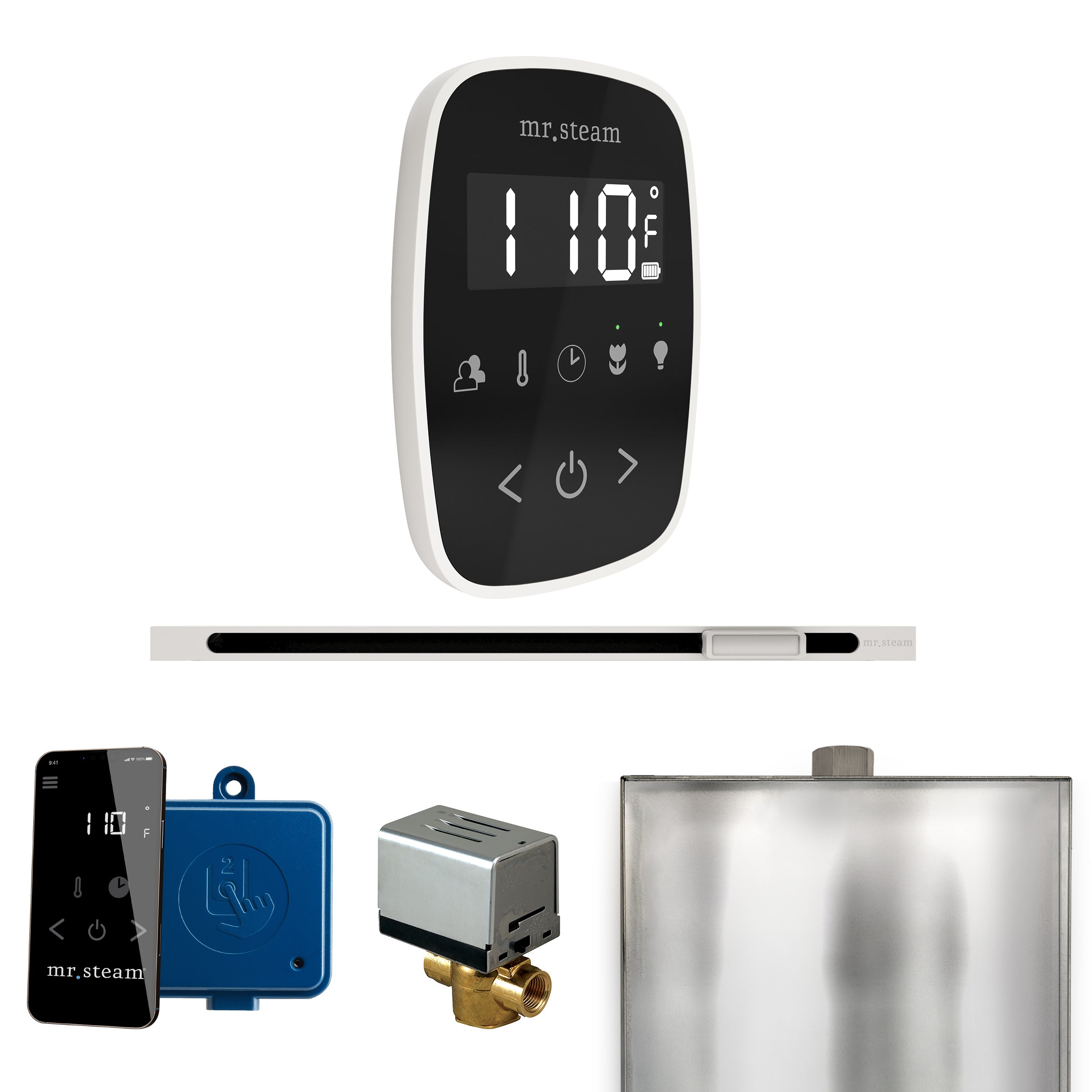 Mr Steam ButlerFlex Steam Shower Control Package with TempoFlex Control and Linear Steamhead