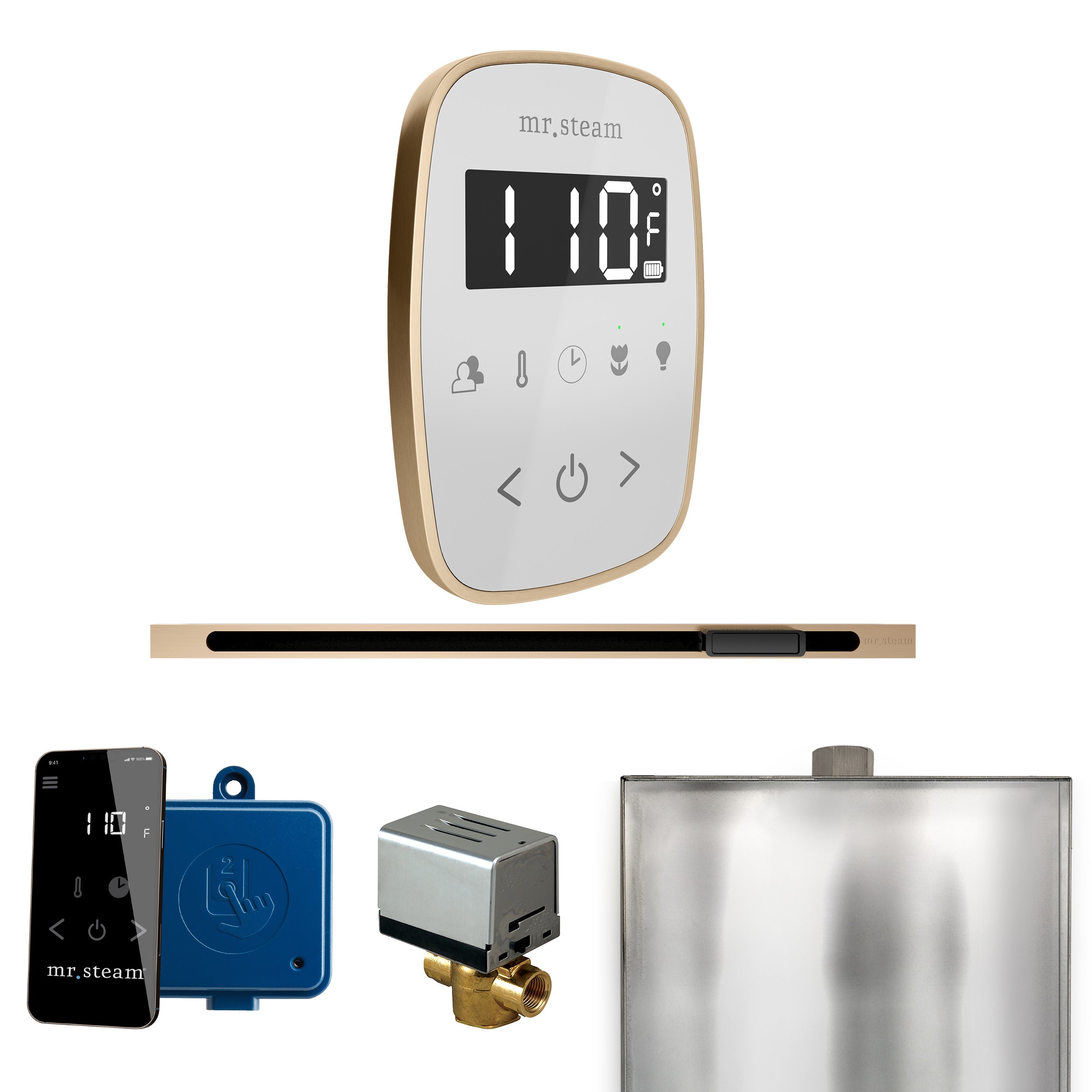 Mr Steam ButlerFlex Steam Shower Control Package with TempoFlex Control and Linear Steamhead