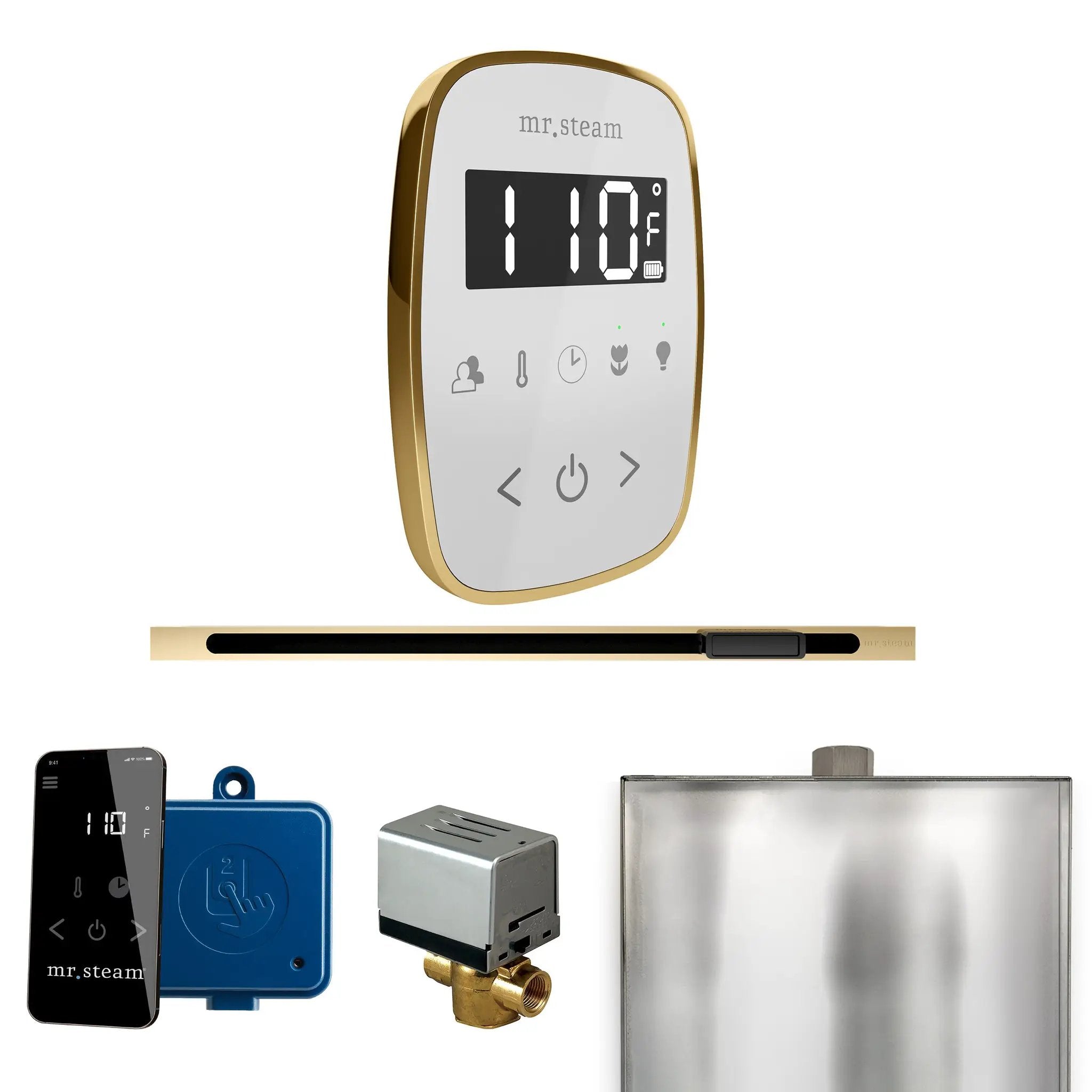 Mr Steam ButlerFlex Steam Shower Control Package with TempoFlex Control and Linear Steamhead by Mr Steam