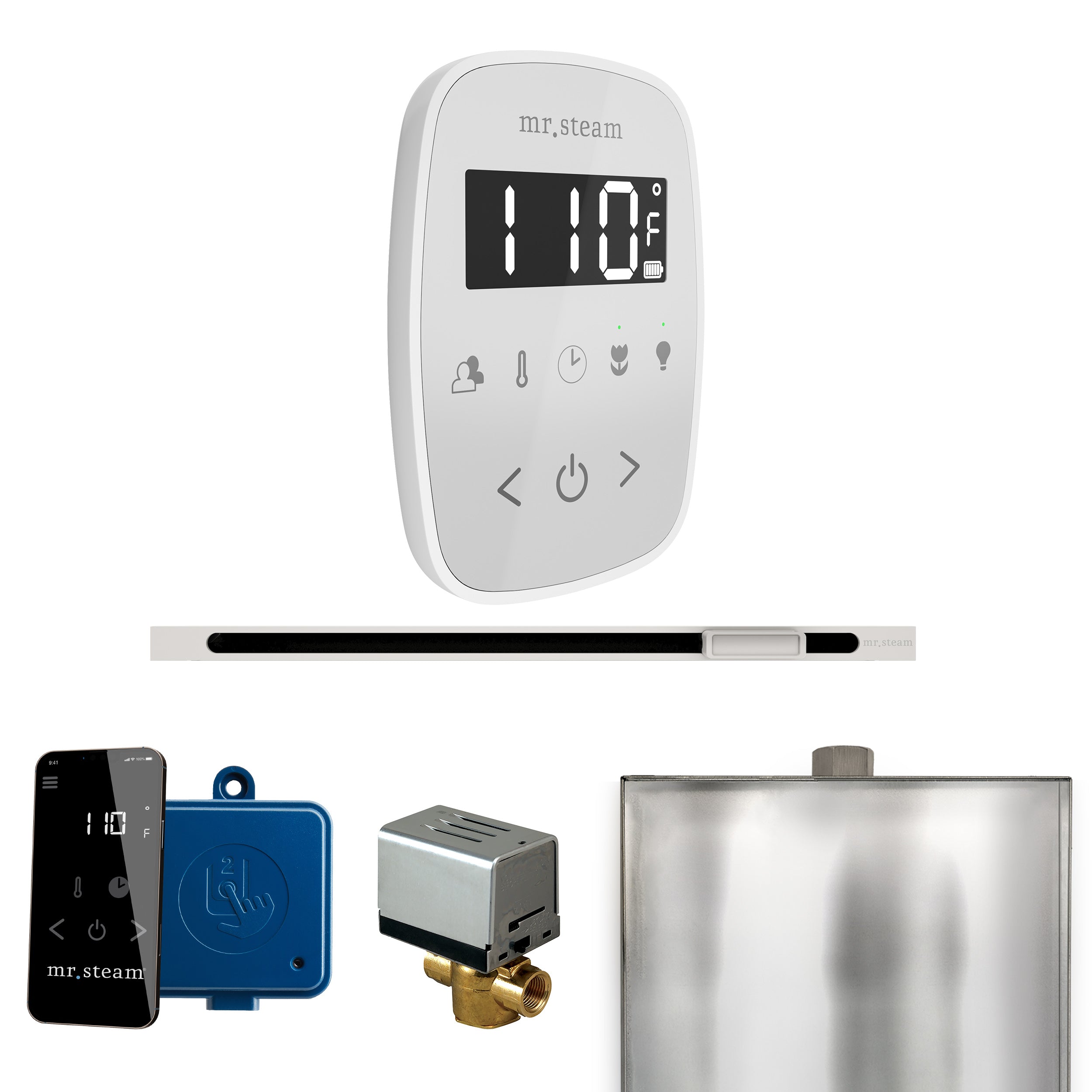 Mr Steam ButlerFlex Steam Shower Control Package with TempoFlex Control and Linear Steamhead