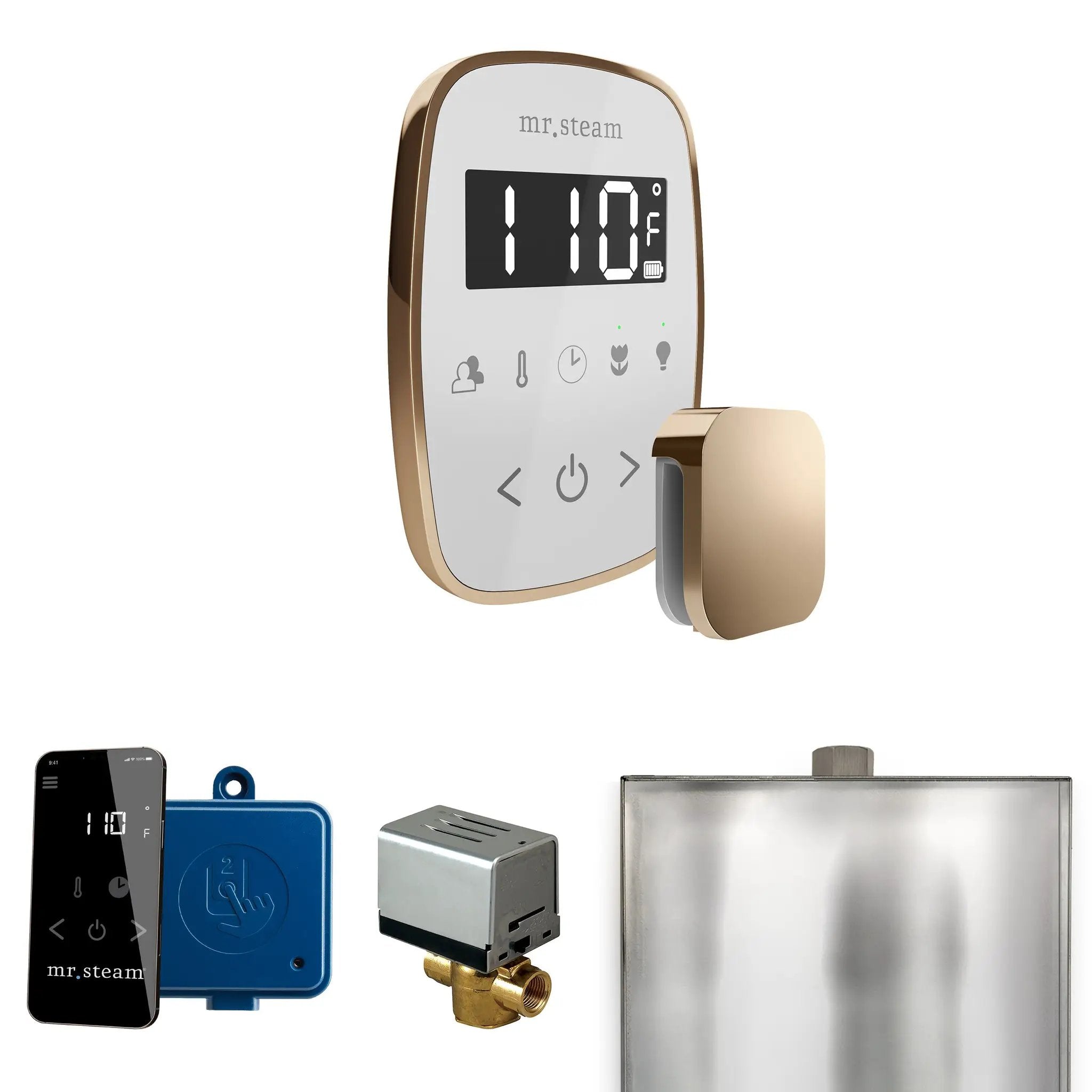 Mr Steam ButlerFlex Steam Shower Control Package with TempoFlex Control and Steamhead by Mr Steam