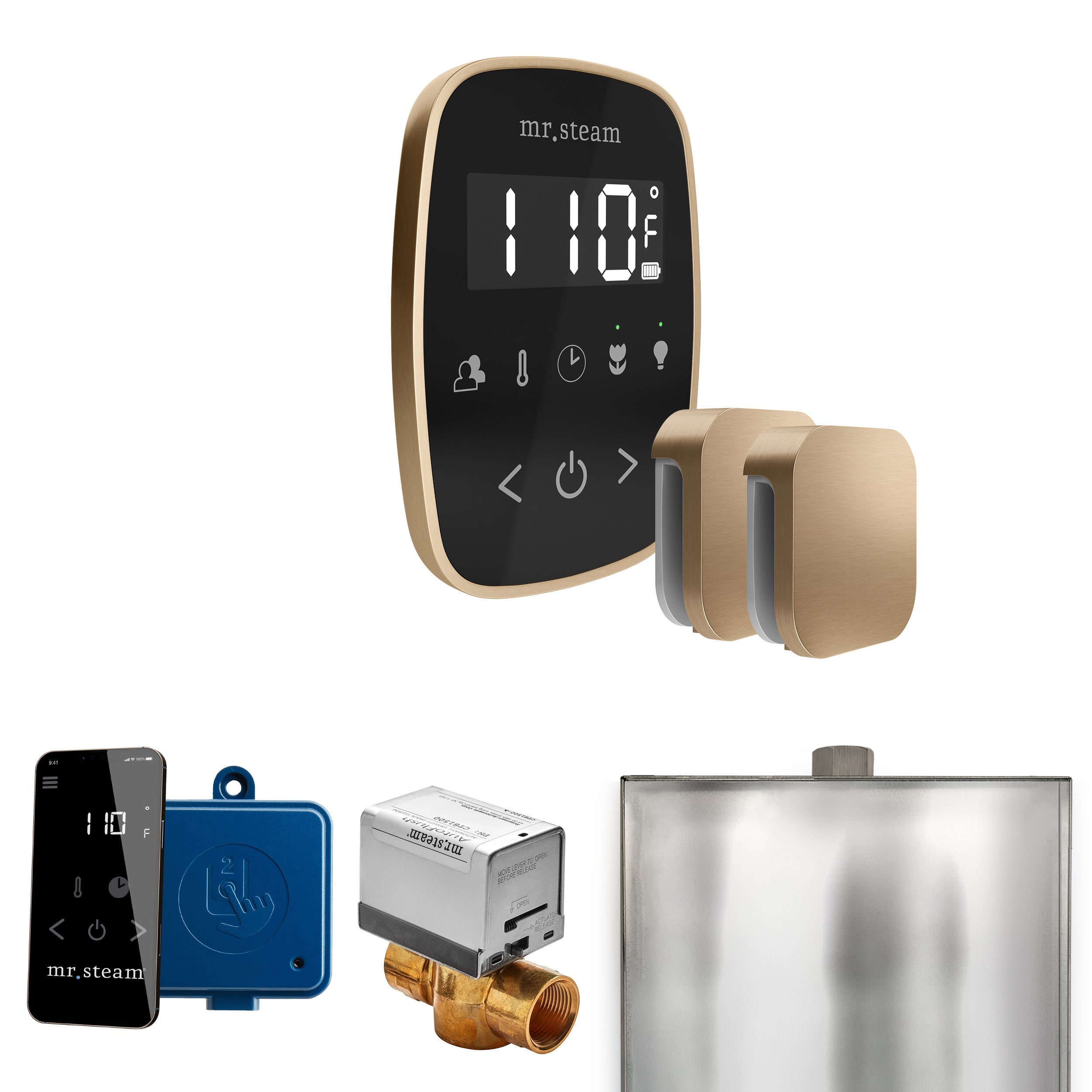 Mr Steam ButlerFlex Max Steam Shower Control Package with TempoFlex Control and Steamhead