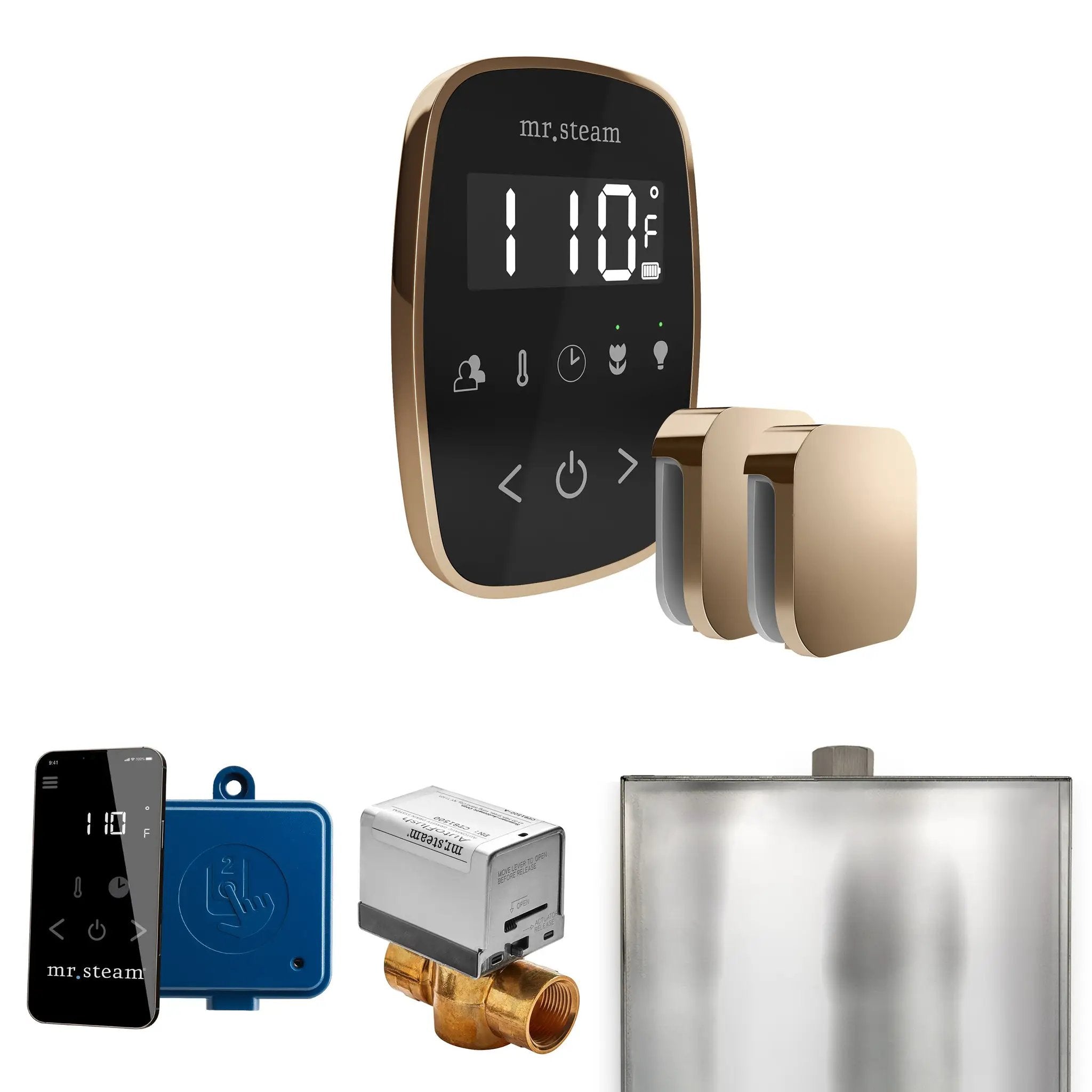 Mr Steam ButlerFlex Max Steam Shower Control Package with TempoFlex Control and Steamhead by Mr Steam