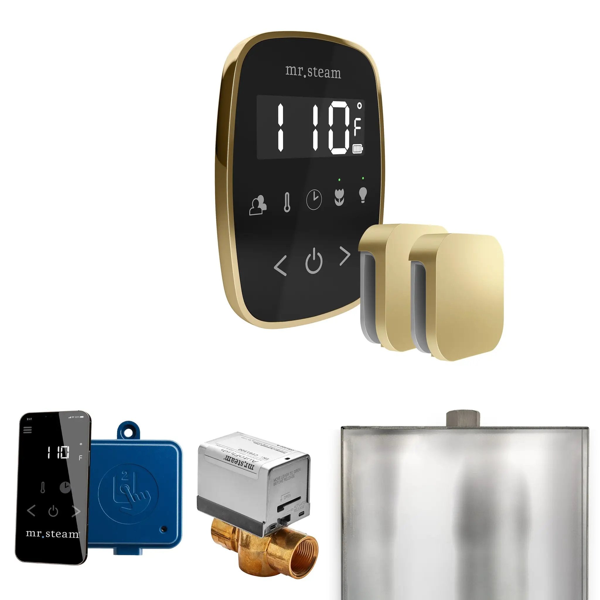 Mr Steam ButlerFlex Max Steam Shower Control Package with TempoFlex Control and Steamhead by Mr Steam