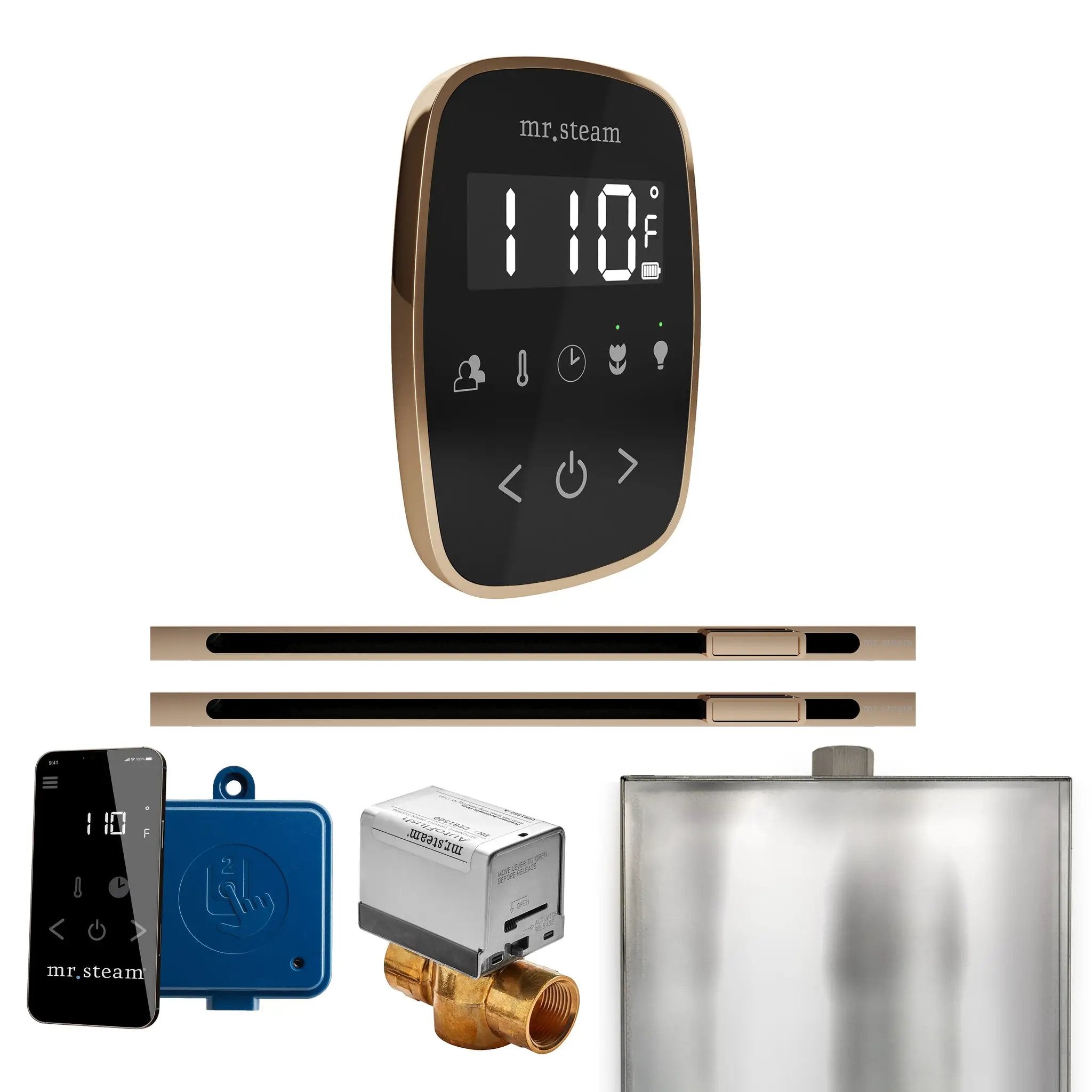 Mr Steam ButlerFlex Max Steam Shower Control Package with TempoFlex Control and Linear Steamhead by Mr Steam