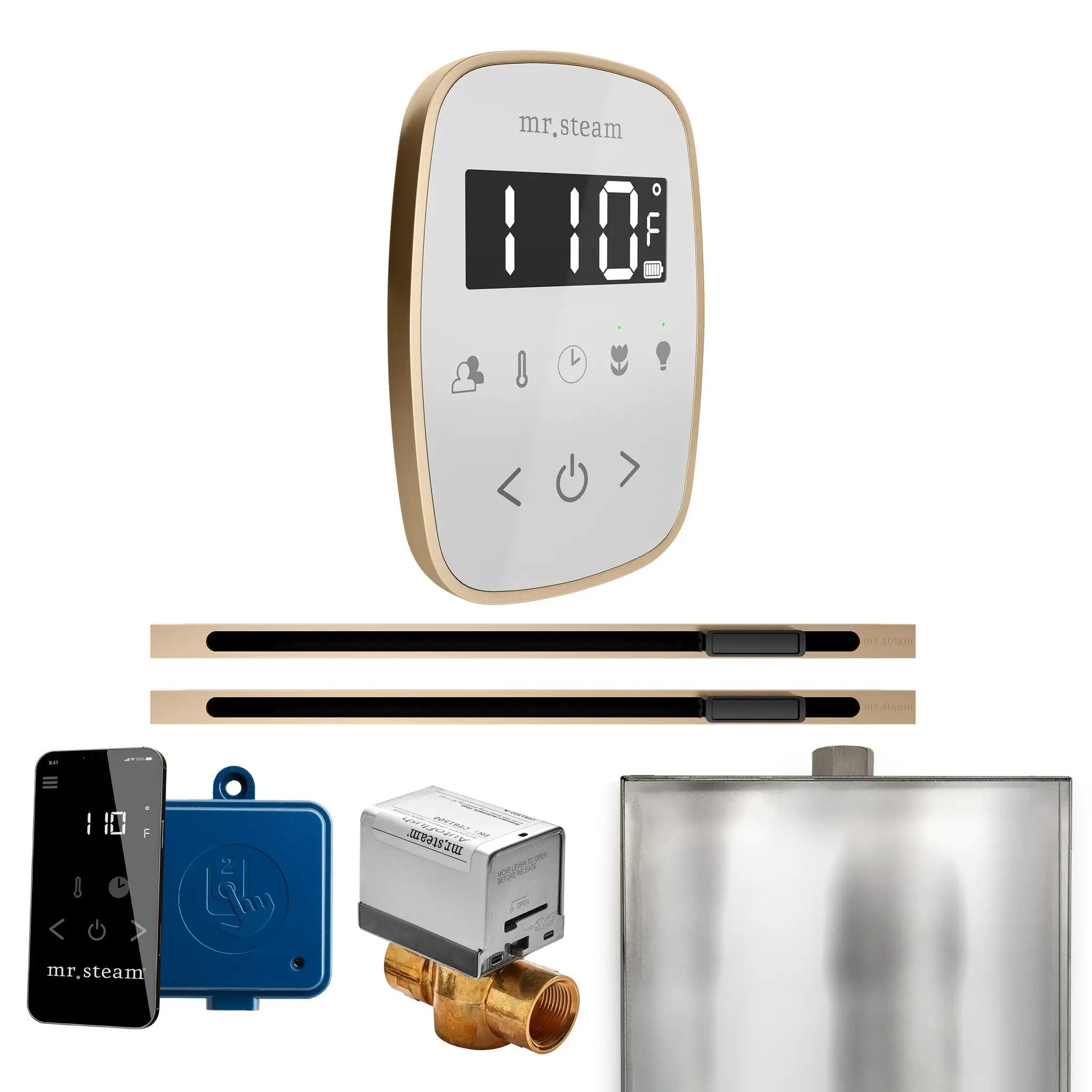 Mr Steam ButlerFlex Max Steam Shower Control Package with TempoFlex Control and Linear Steamhead by Mr Steam