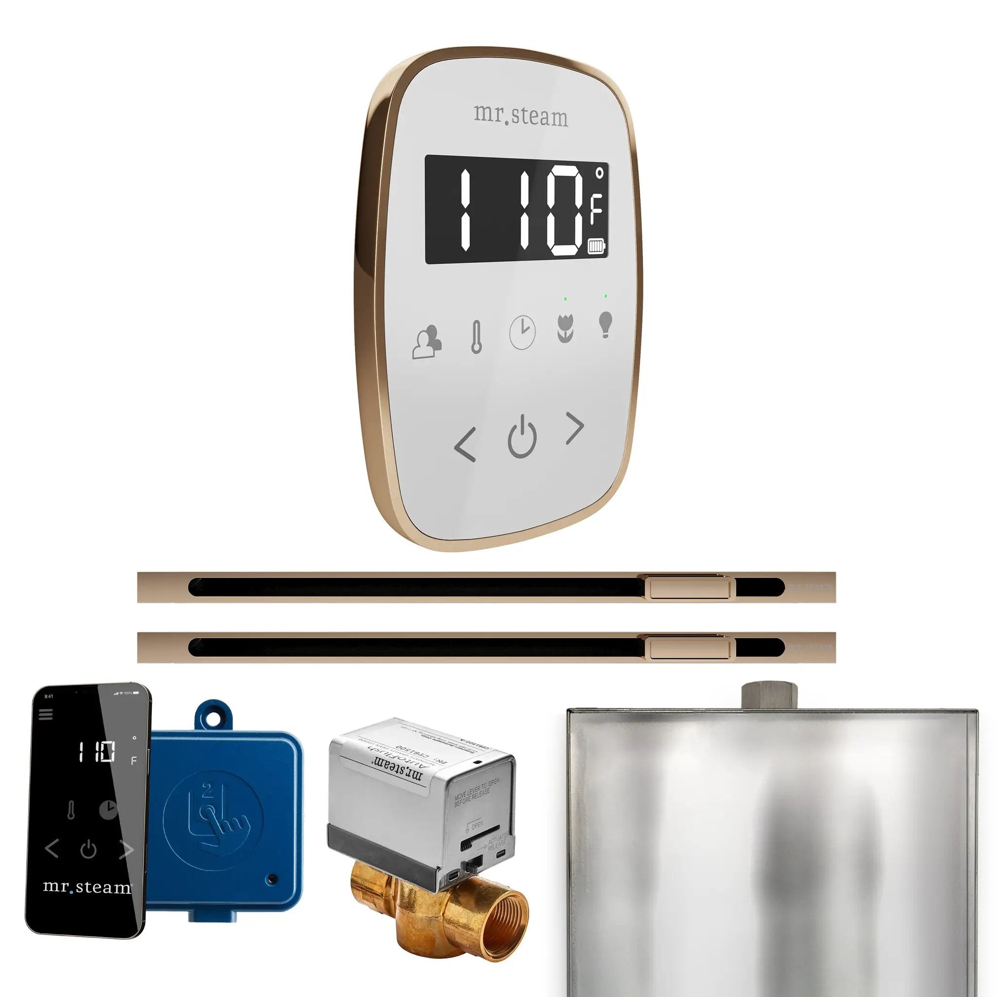 Mr Steam ButlerFlex Max Steam Shower Control Package with TempoFlex Control and Linear Steamhead by Mr Steam