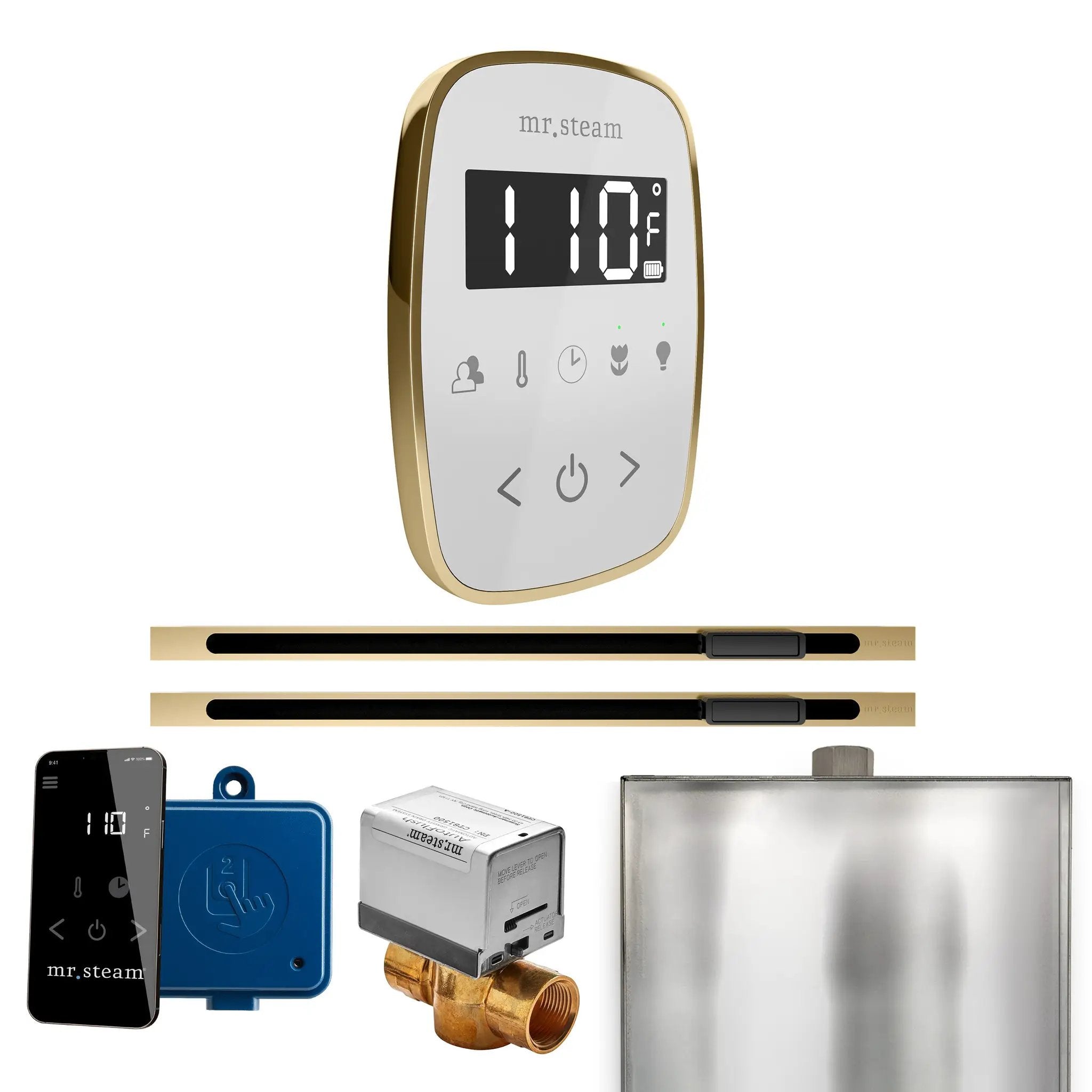 Mr Steam ButlerFlex Max Steam Shower Control Package with TempoFlex Control and Linear Steamhead by Mr Steam