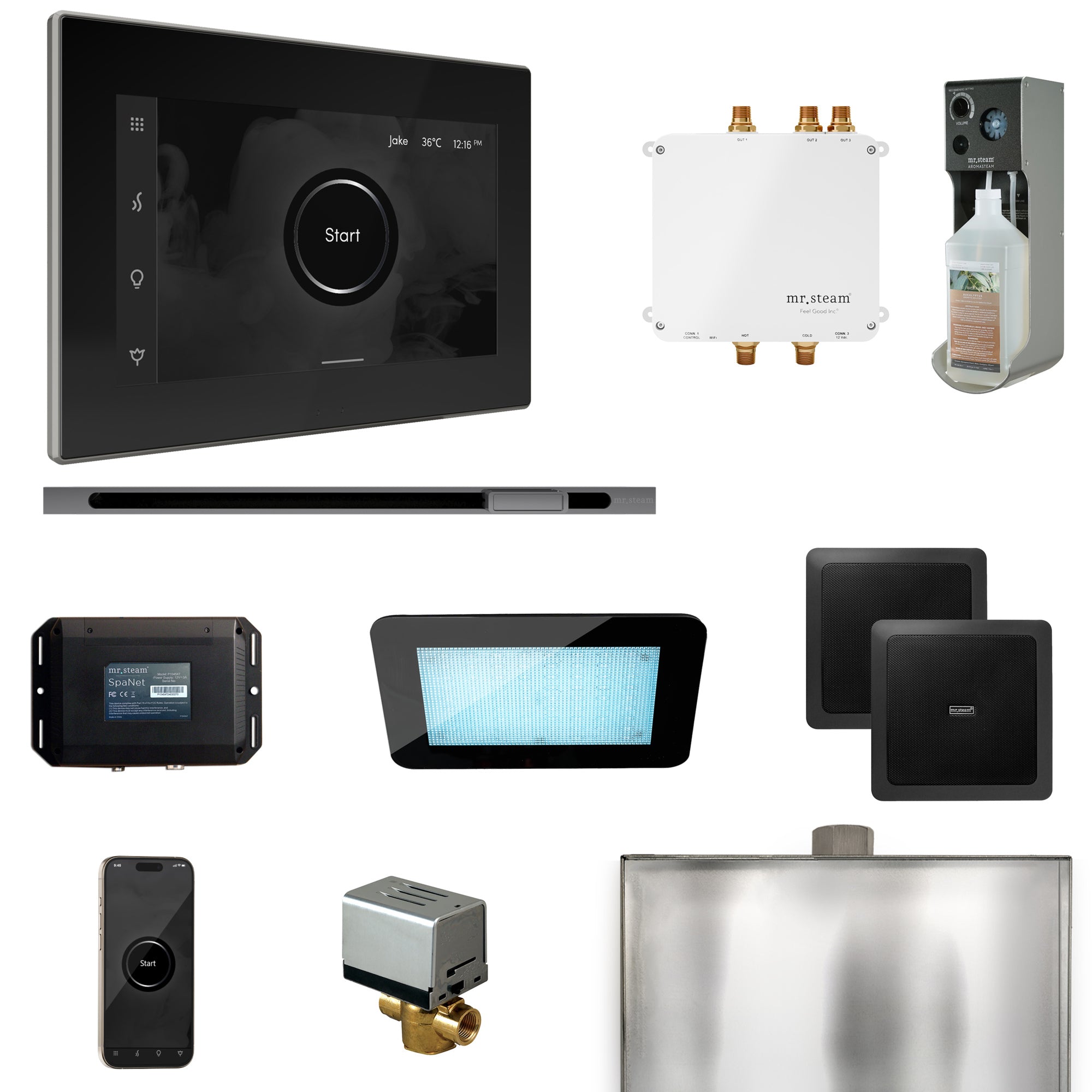 Mr Steam Bliss Steam Shower Control Package with iSteamX Control and Linear Steamhead