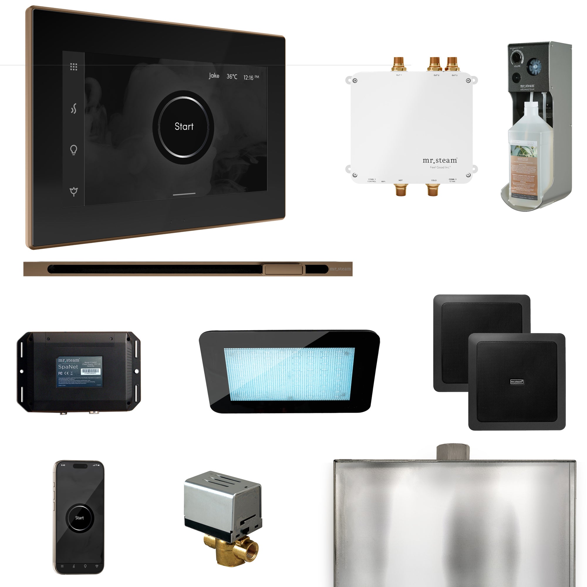 Mr Steam Bliss Steam Shower Control Package with iSteamX Control and Linear Steamhead