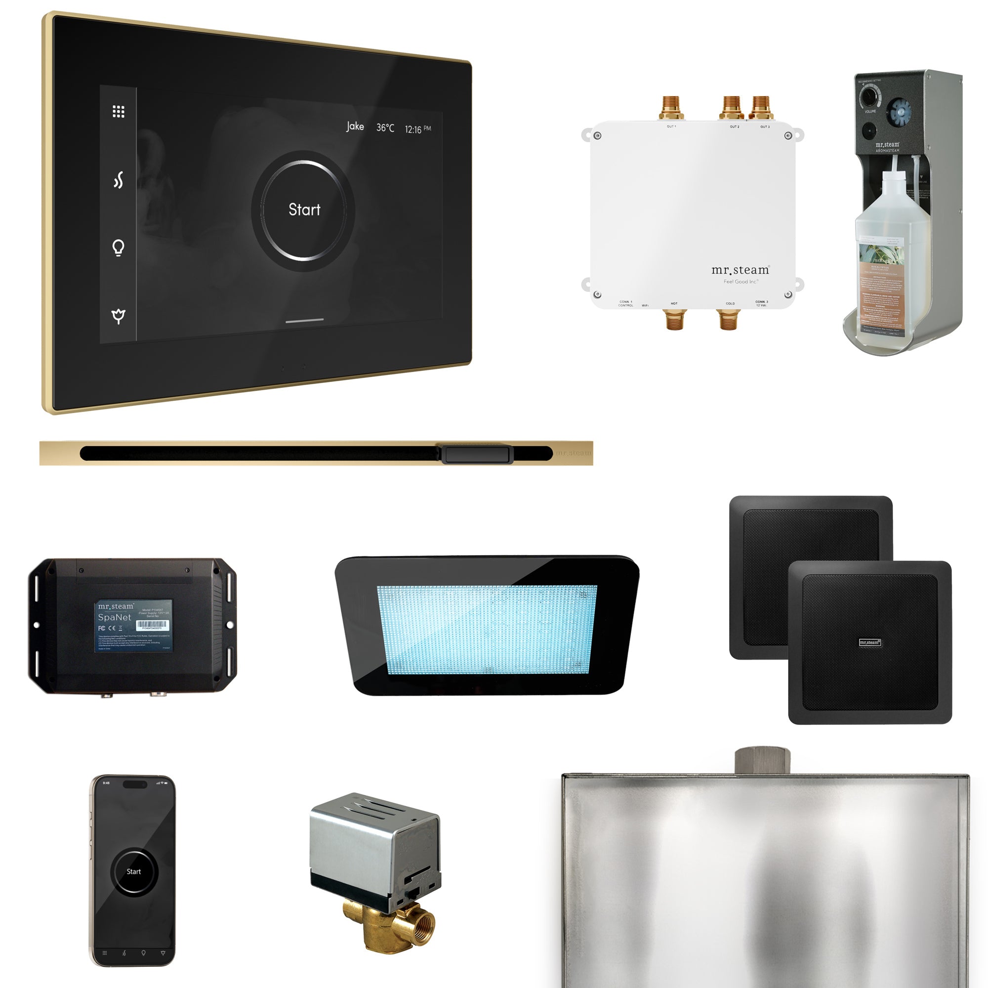 Mr Steam Bliss Steam Shower Control Package with iSteamX Control and Linear Steamhead