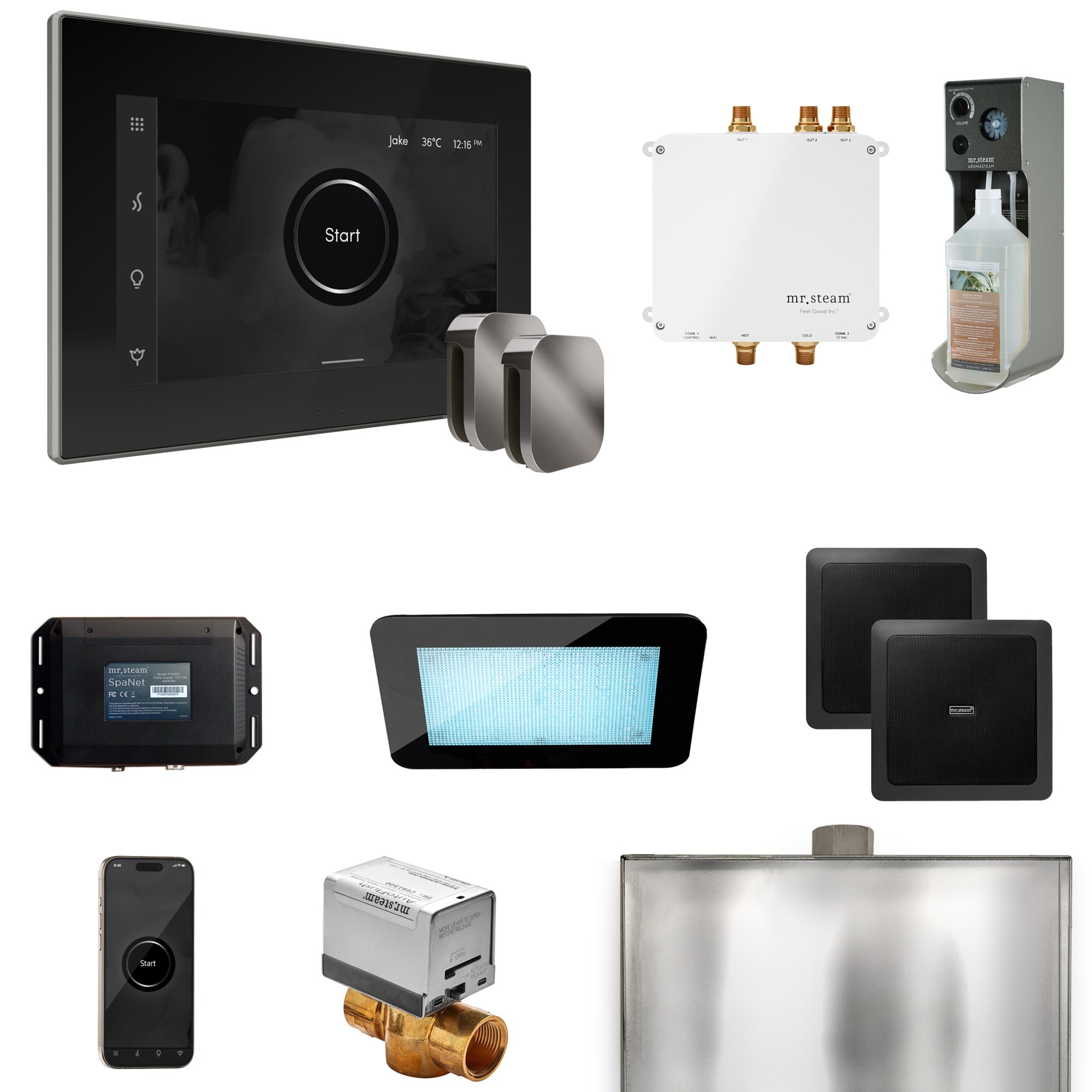 Mr Steam Bliss Max Steam Shower Control Package with iSteamX Control and Steamhead