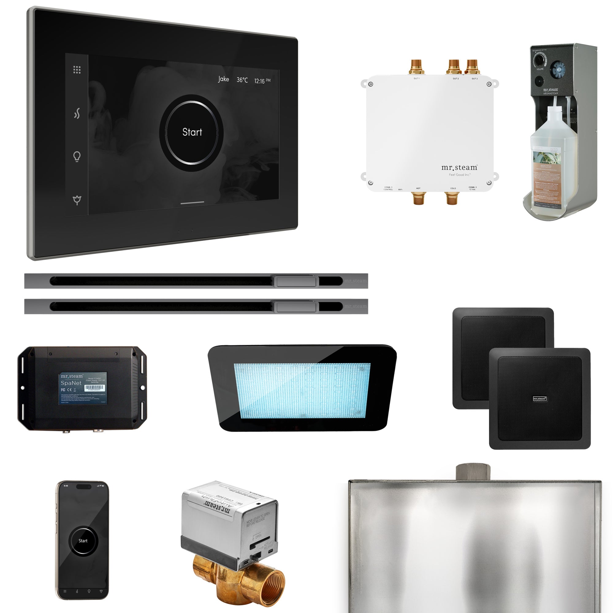 Mr Steam Bliss Max Steam Shower Control Package with iSteamX Control and Linear Steamhead