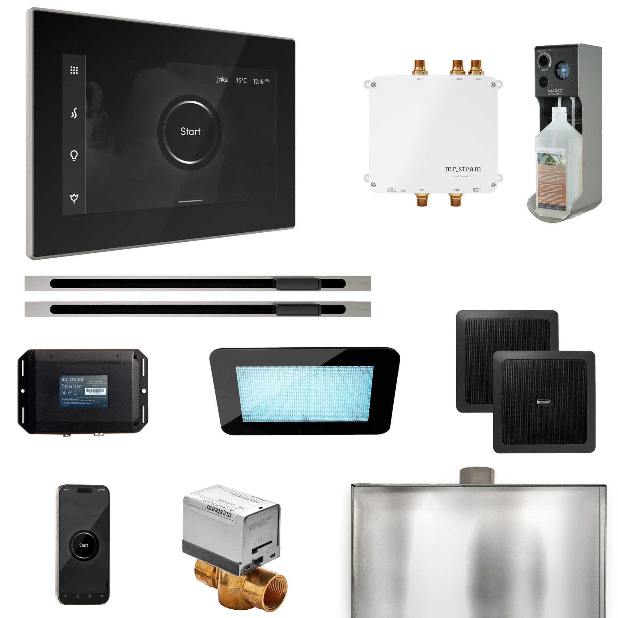 Mr Steam Bliss Max Steam Shower Control Package with iSteamX Control and Linear Steamhead