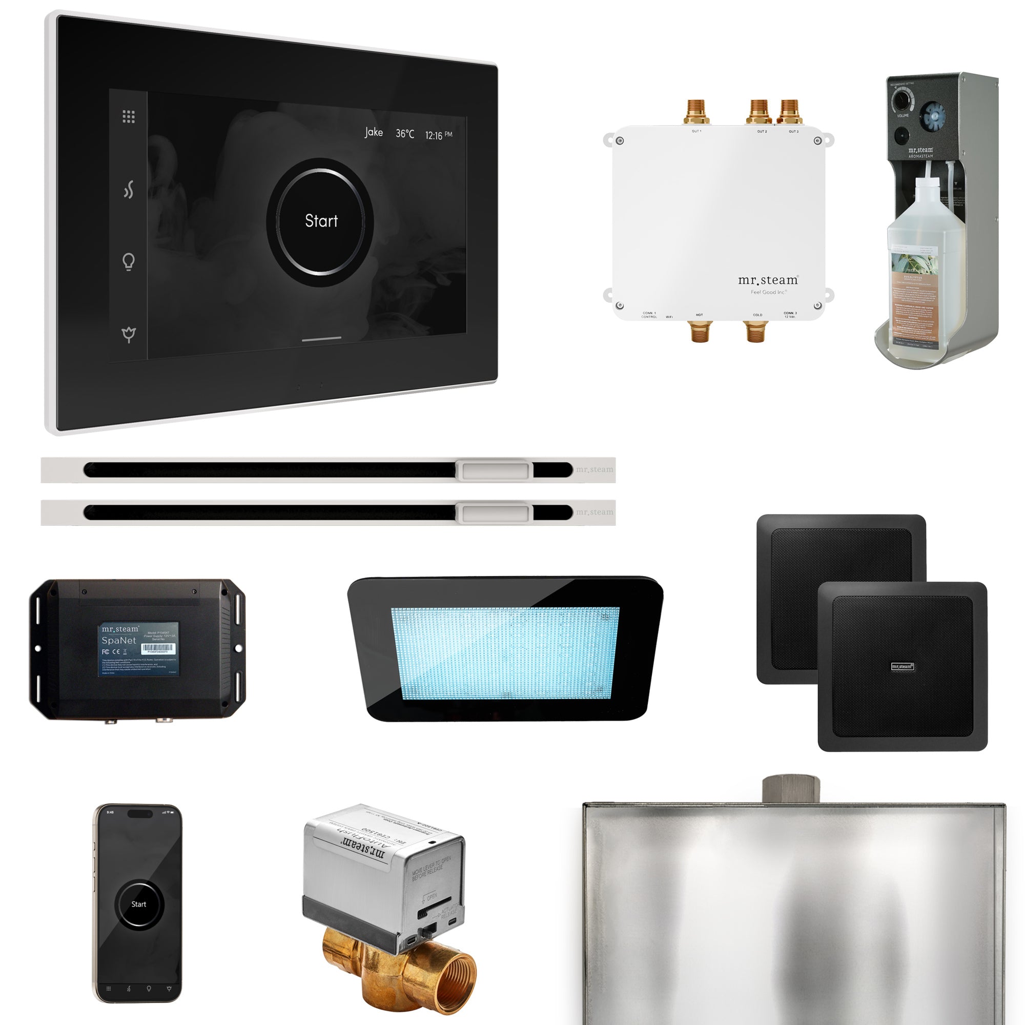 Mr Steam Bliss Max Steam Shower Control Package with iSteamX Control and Linear Steamhead