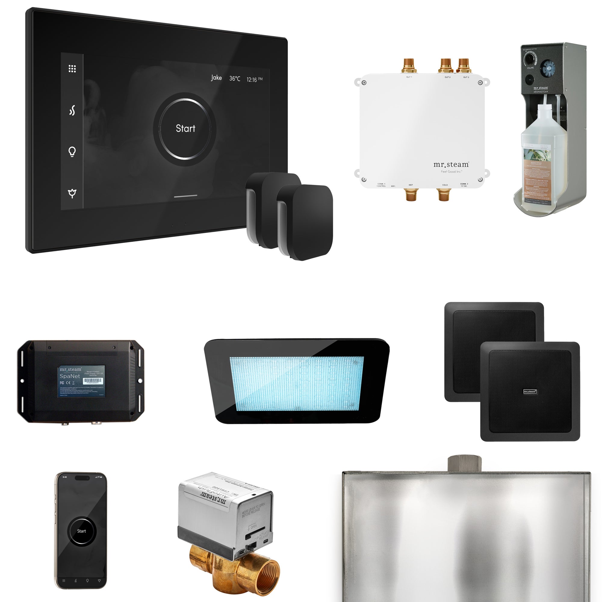 Mr Steam Bliss Max Steam Shower Control Package with iSteamX Control and Steamhead