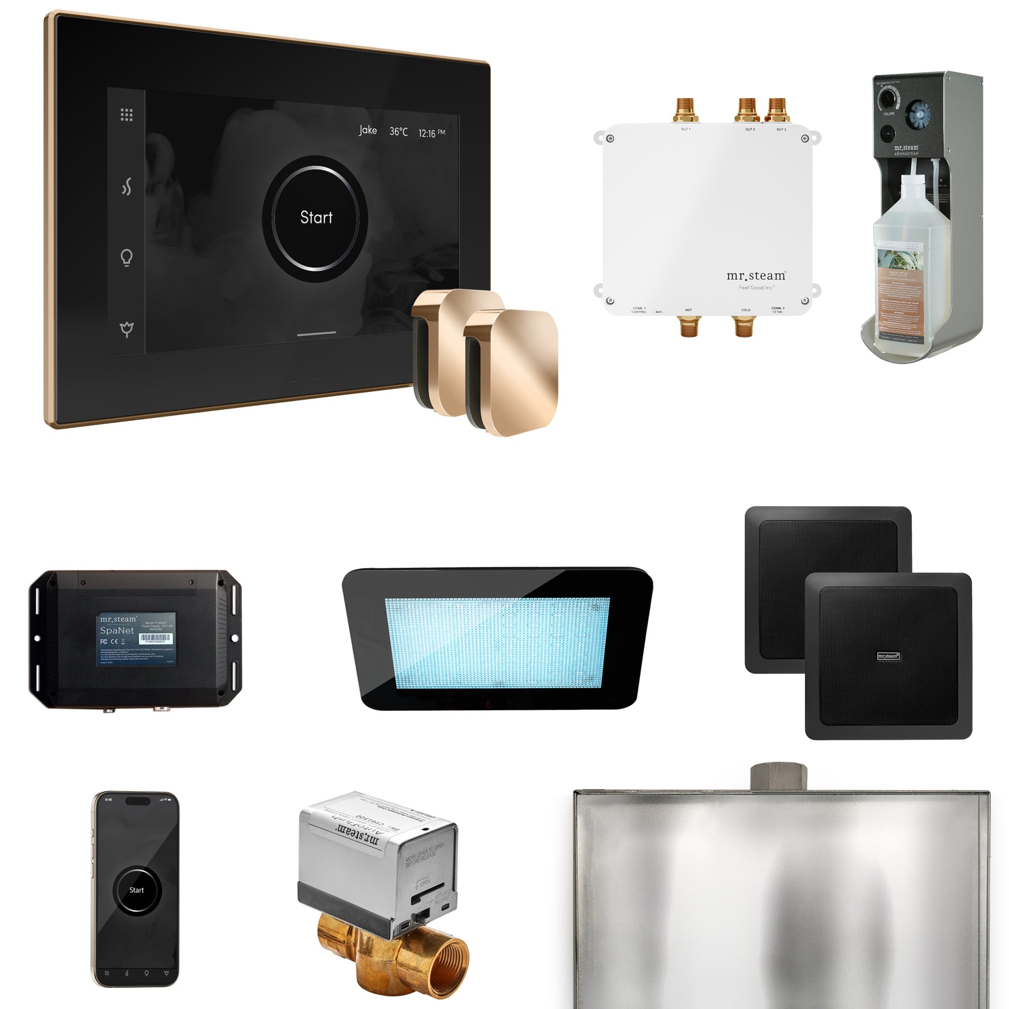 Mr Steam Bliss Max Steam Shower Control Package with iSteamX Control and Steamhead