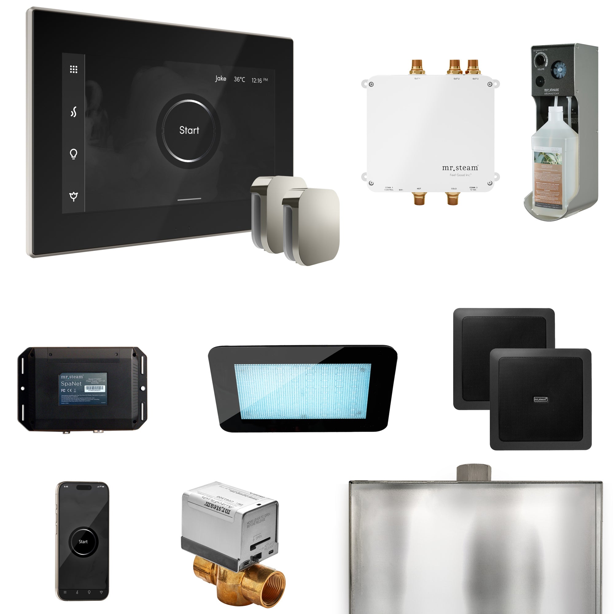 Mr Steam Bliss Max Steam Shower Control Package with iSteamX Control and Steamhead