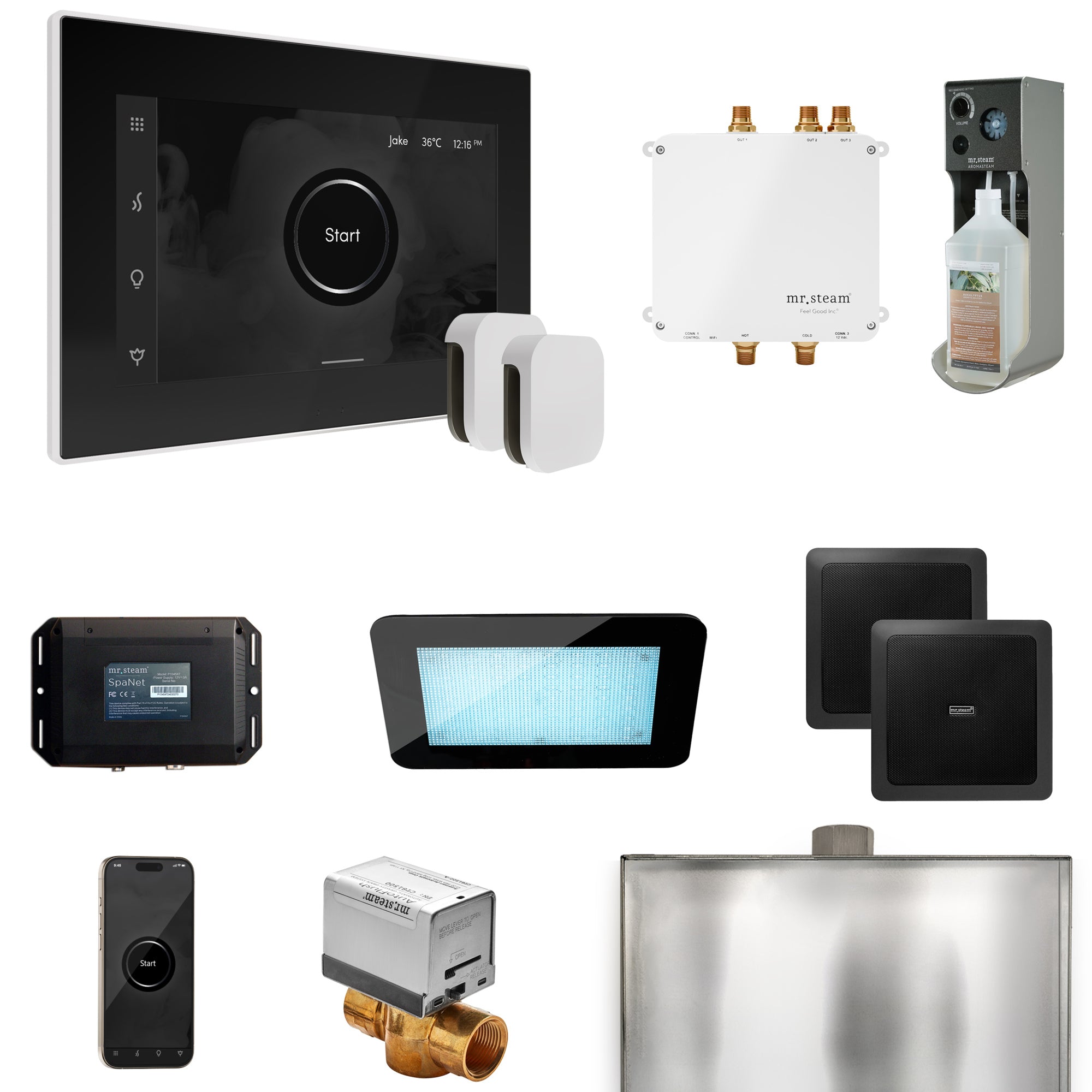 Mr Steam Bliss Max Steam Shower Control Package with iSteamX Control and Steamhead