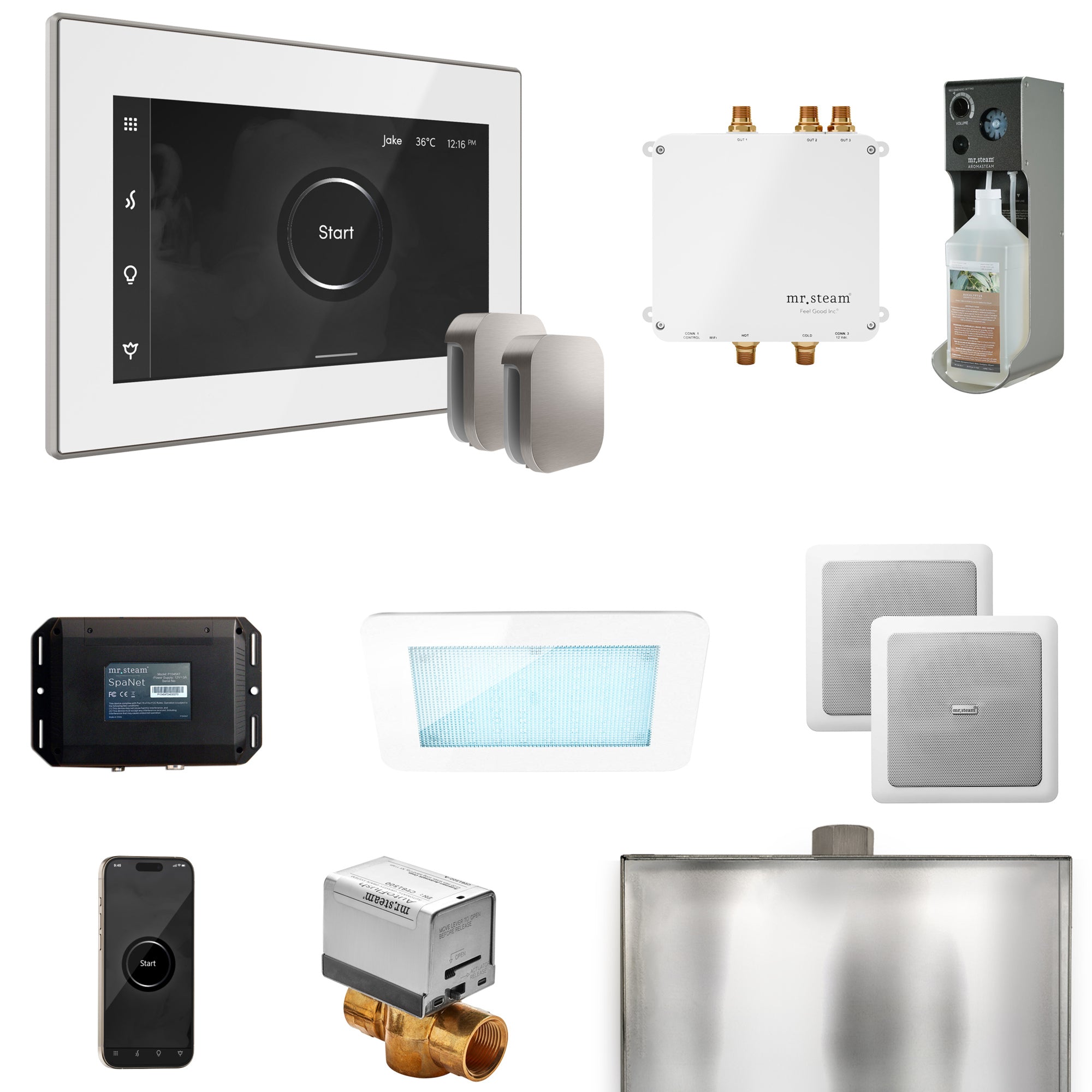 Mr Steam Bliss Max Steam Shower Control Package with iSteamX Control and Steamhead