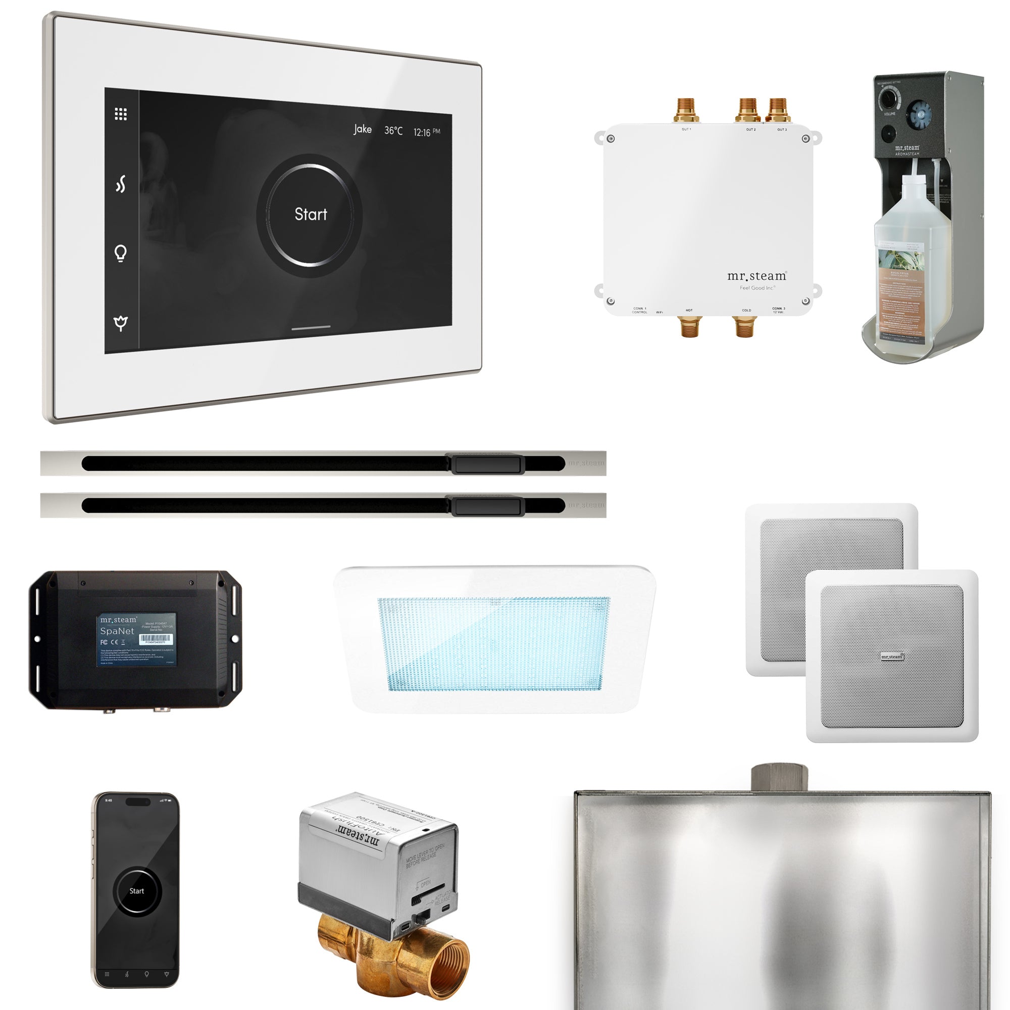 Mr Steam Bliss Max Steam Shower Control Package with iSteamX Control and Linear Steamhead