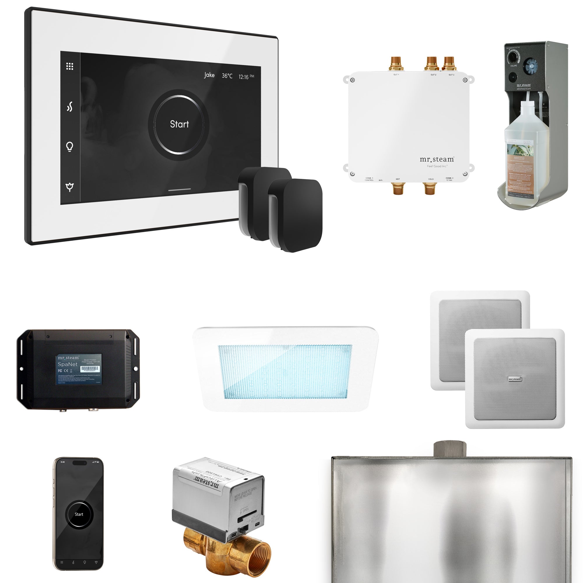 Mr Steam Bliss Max Steam Shower Control Package with iSteamX Control and Steamhead