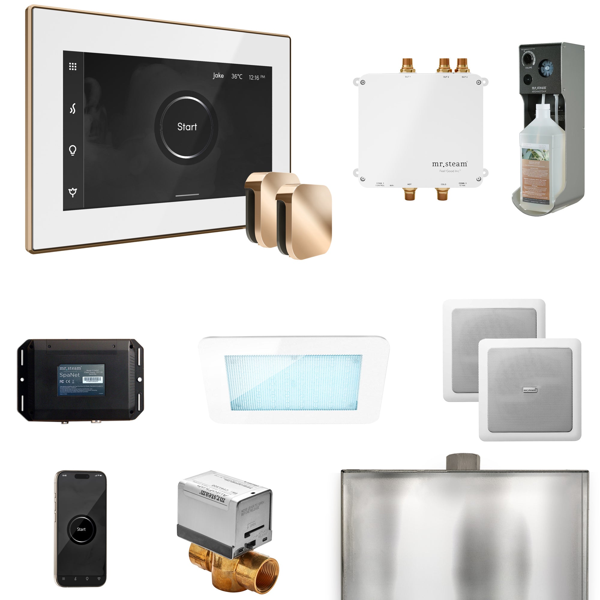 Mr Steam Bliss Max Steam Shower Control Package with iSteamX Control and Steamhead