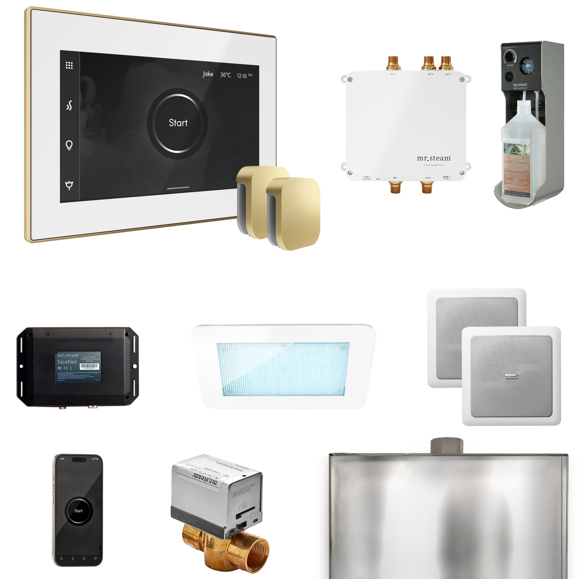 Mr Steam Bliss Max Steam Shower Control Package with iSteamX Control and Steamhead