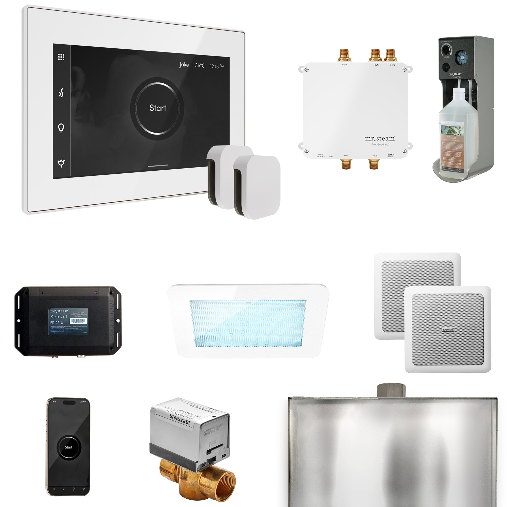 Mr Steam Bliss Max Steam Shower Control Package with iSteamX Control and Steamhead