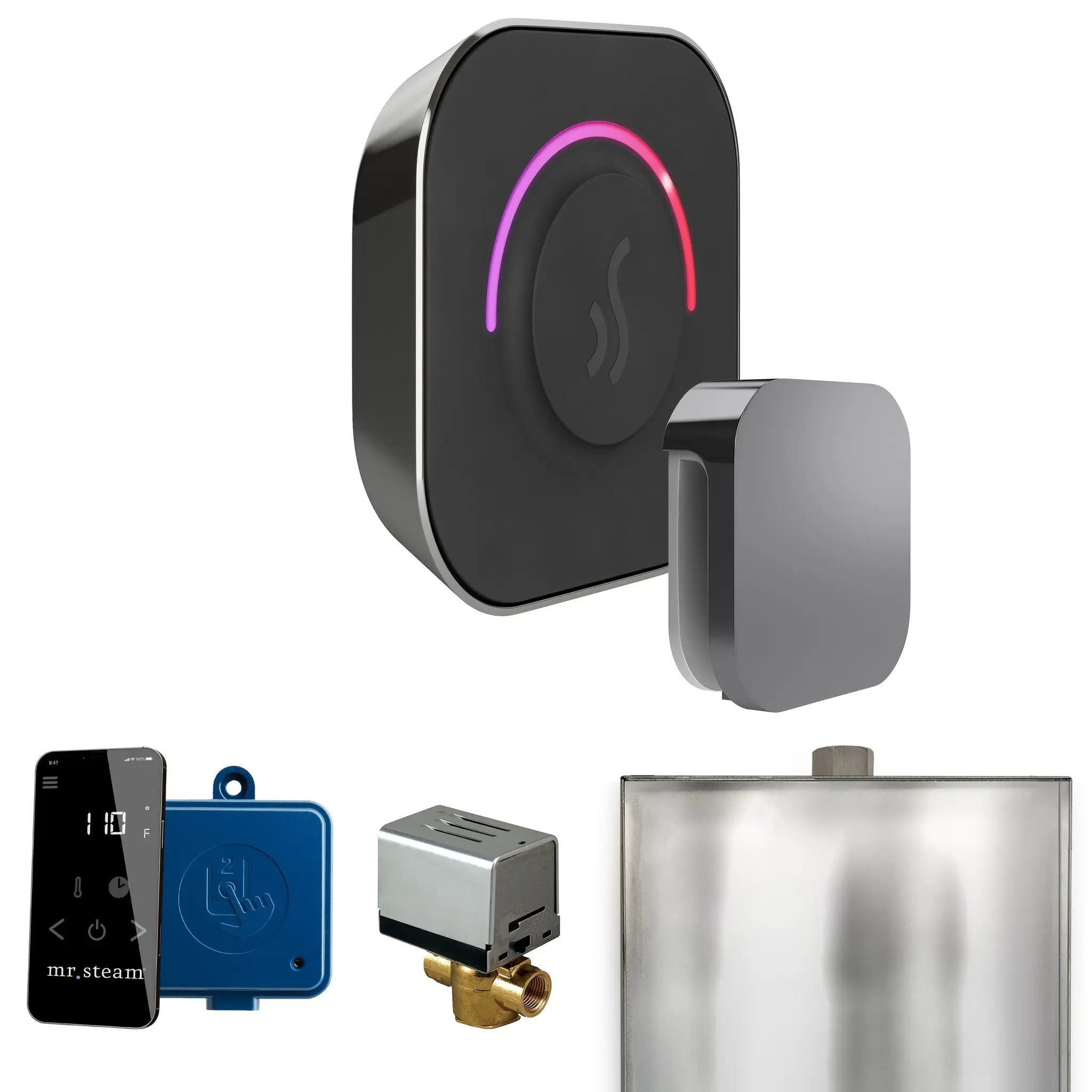 Mr Steam ButlerTouch Steam Shower Control Package with TempoTouch Control and Steamhead by Mr Steam