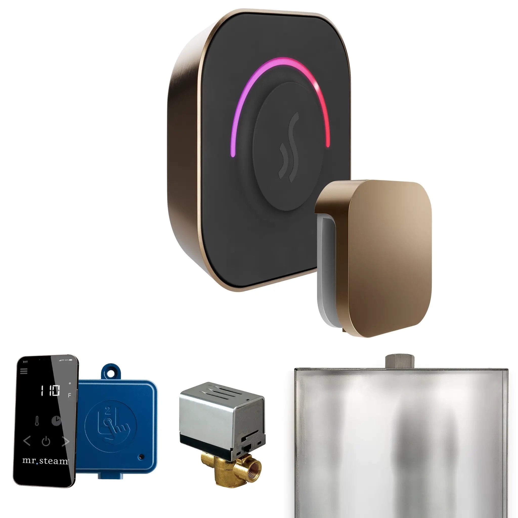 Mr Steam ButlerTouch Steam Shower Control Package with TempoTouch Control and Steamhead by Mr Steam
