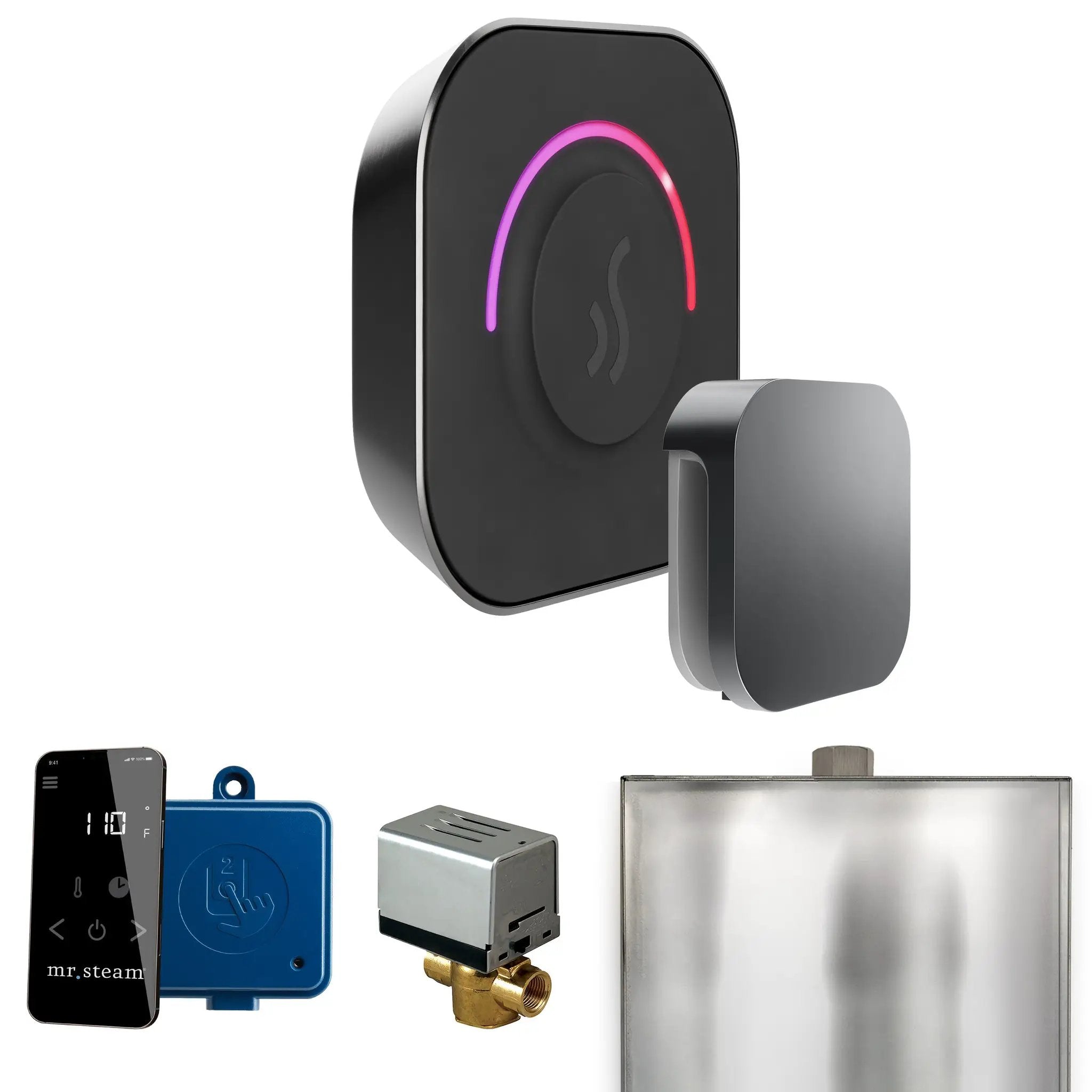 Mr Steam ButlerTouch Steam Shower Control Package with TempoTouch Control and Steamhead by Mr Steam