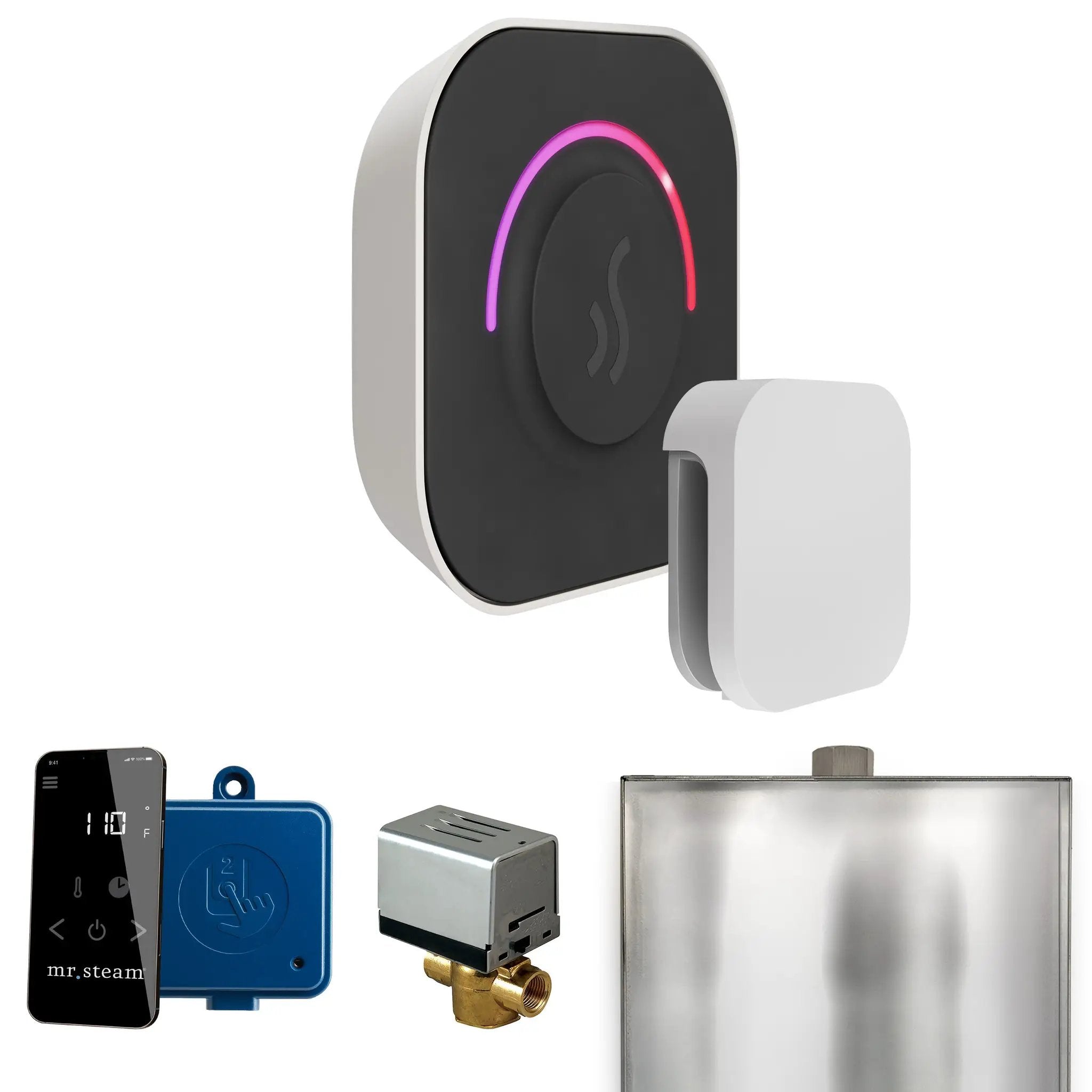 Mr Steam ButlerTouch Steam Shower Control Package with TempoTouch Control and Steamhead by Mr Steam