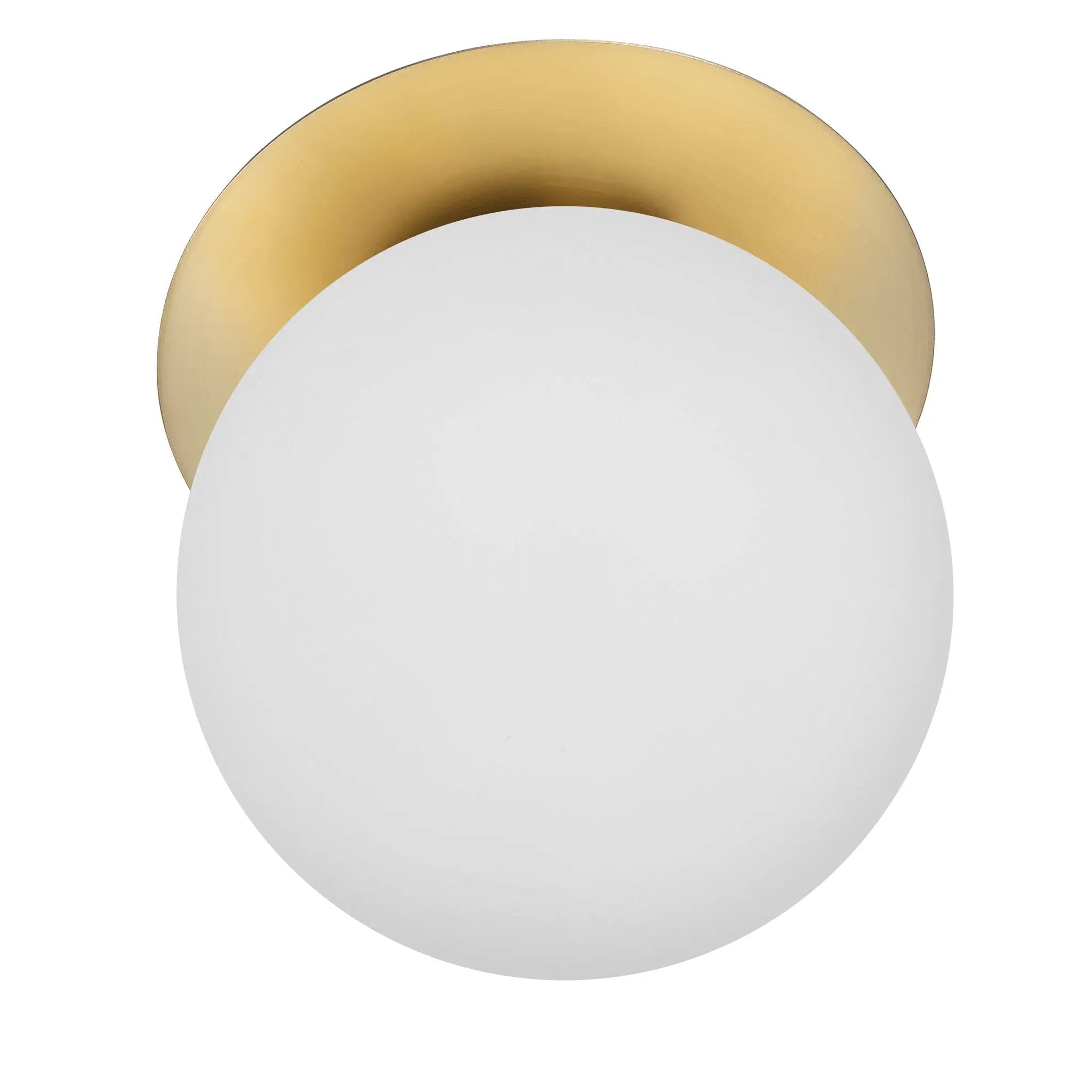 Dainolite 1 Light Incandescent Wall Sconce with Globe by Dainolite