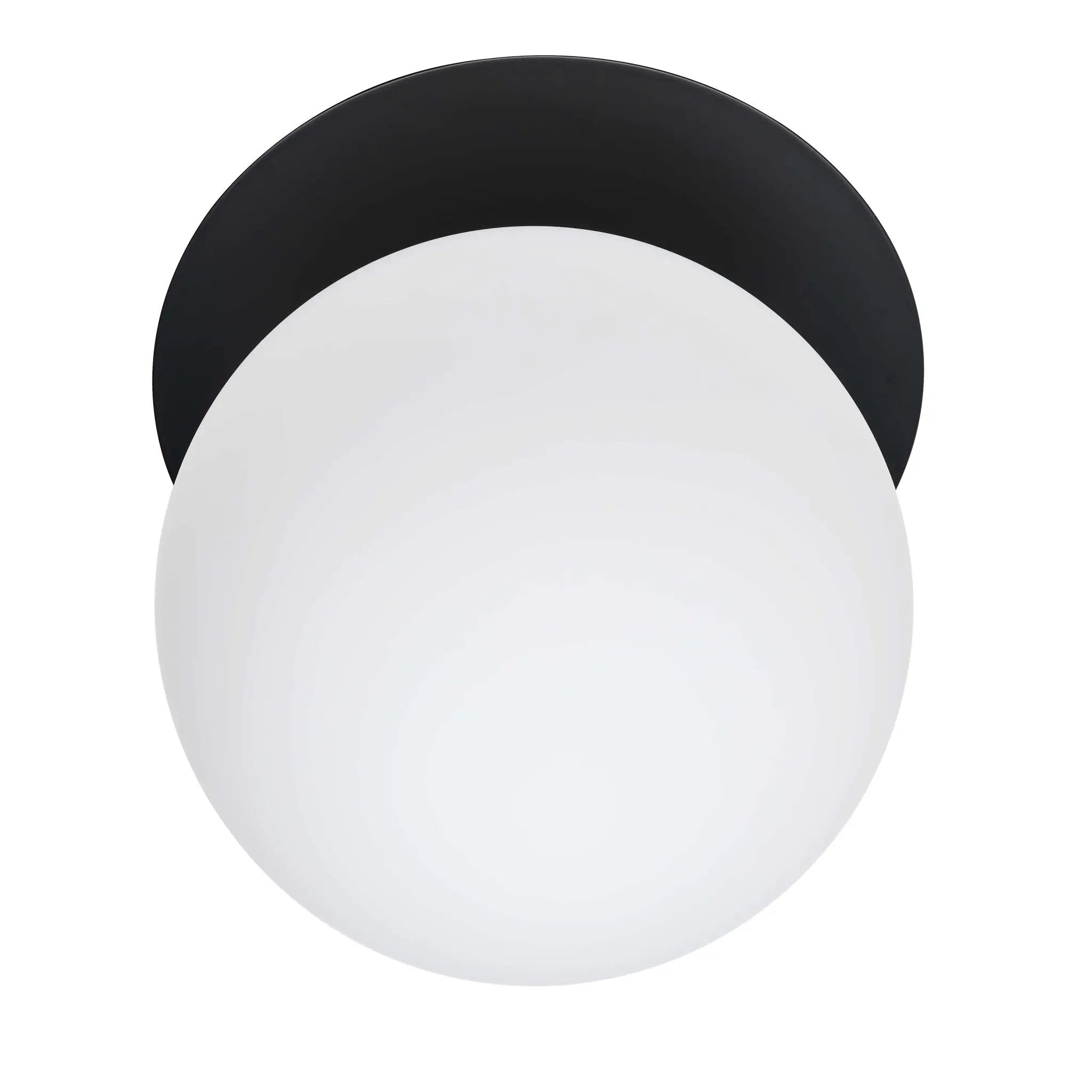 Dainolite 1 Light Incandescent Wall Sconce with Globe by Dainolite
