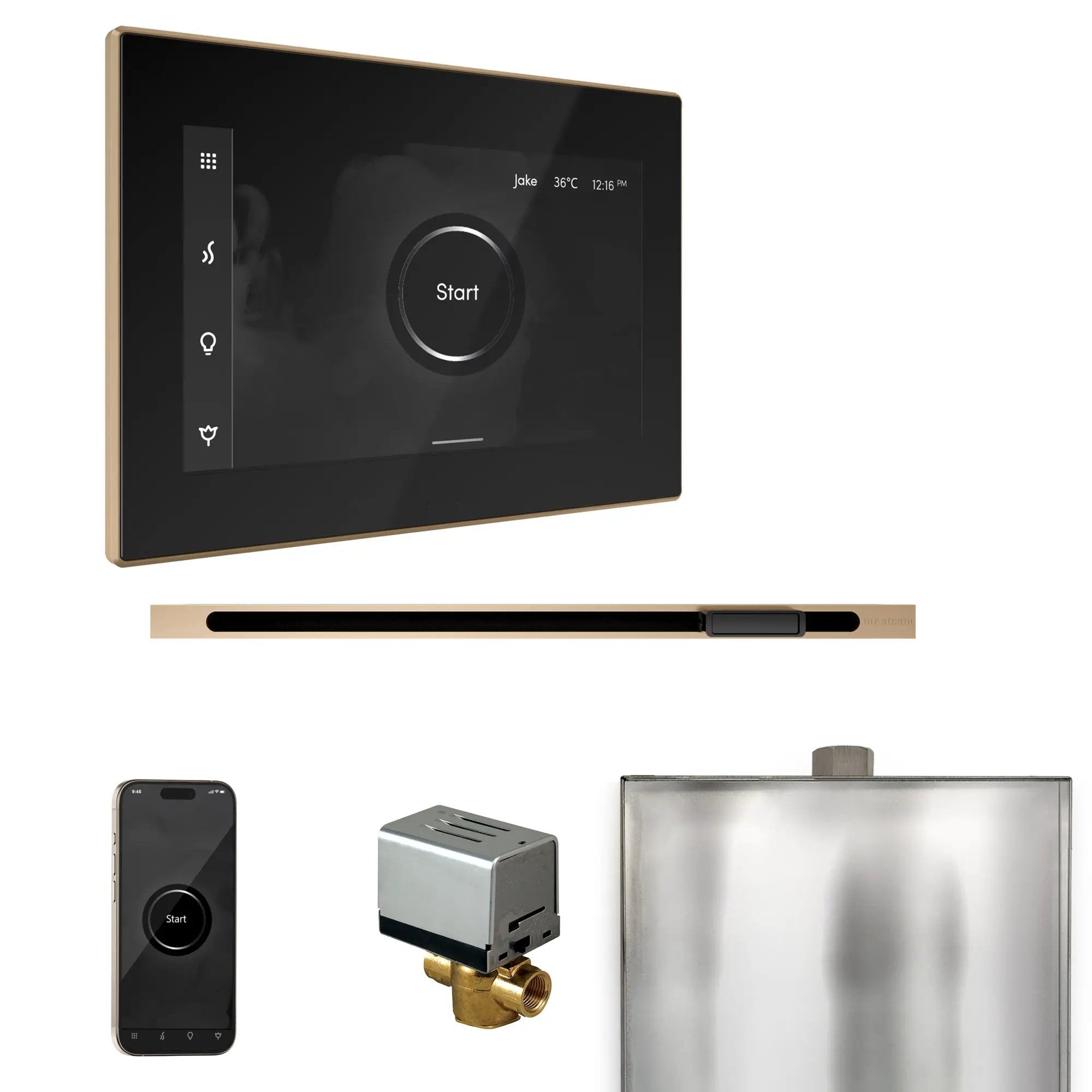 Mr Steam XButler Steam Shower Control Package with iSteamX Control and Linear Steamhead by Mr Steam