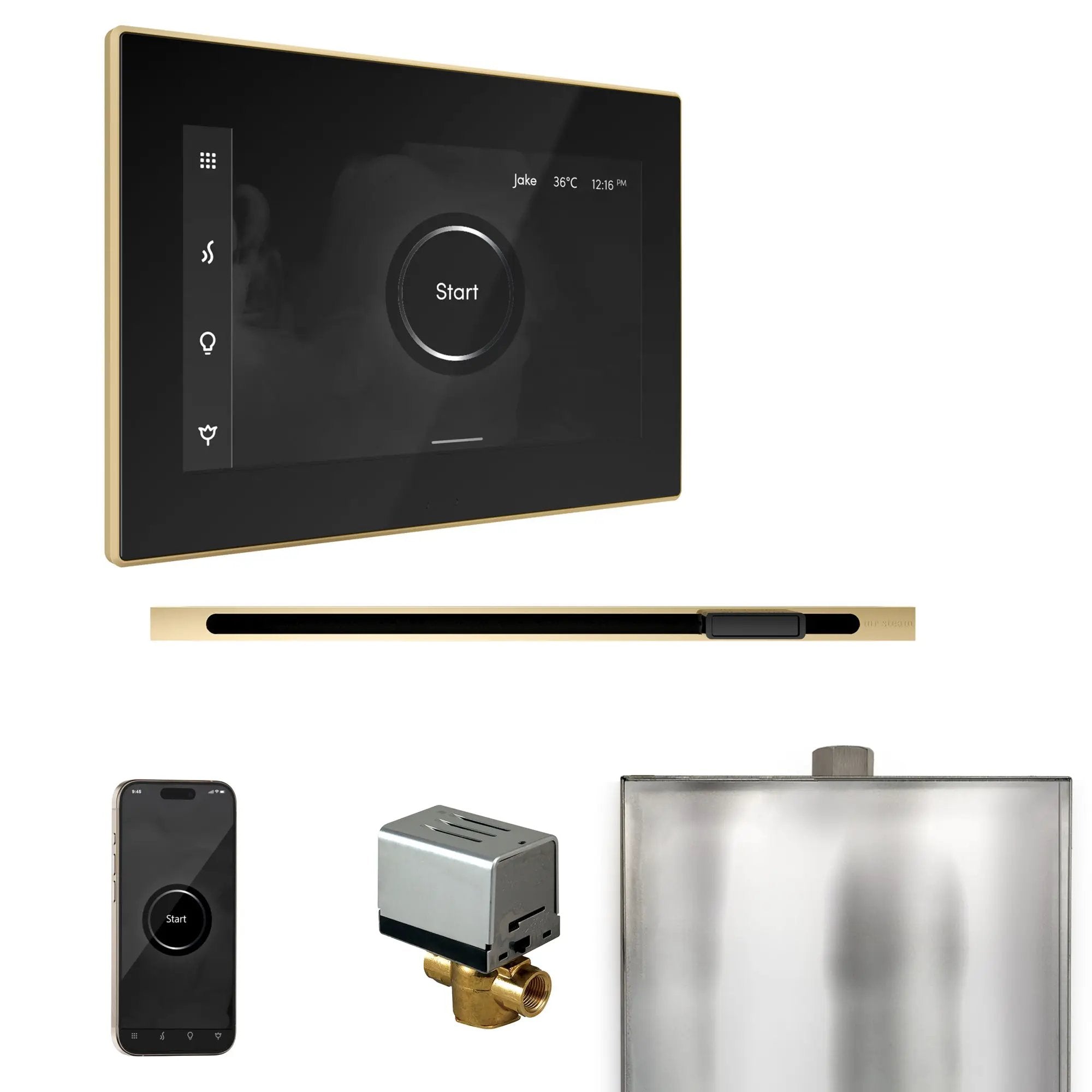 Mr Steam XButler Steam Shower Control Package with iSteamX Control and Linear Steamhead by Mr Steam