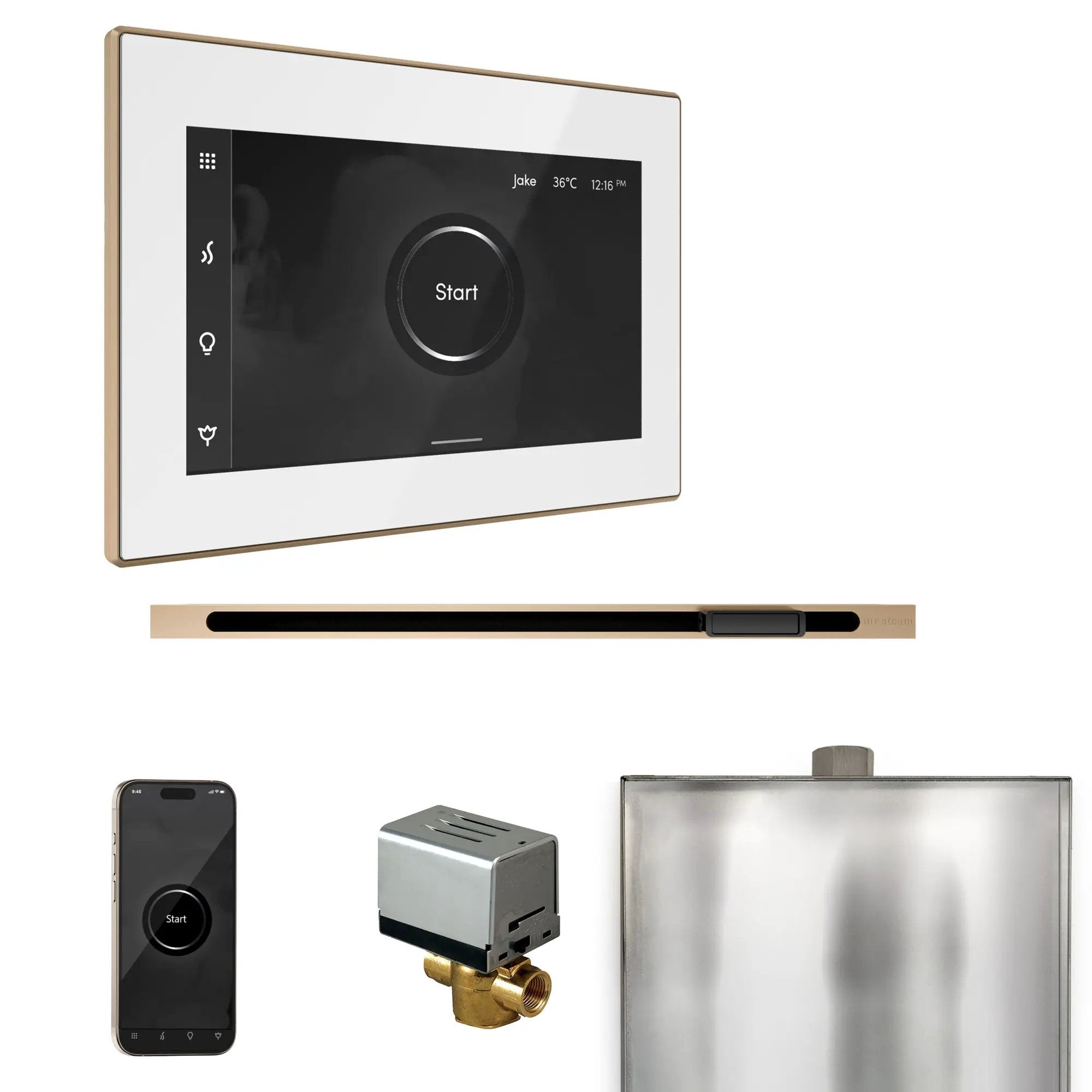 Mr Steam XButler Steam Shower Control Package with iSteamX Control and Linear Steamhead by Mr Steam