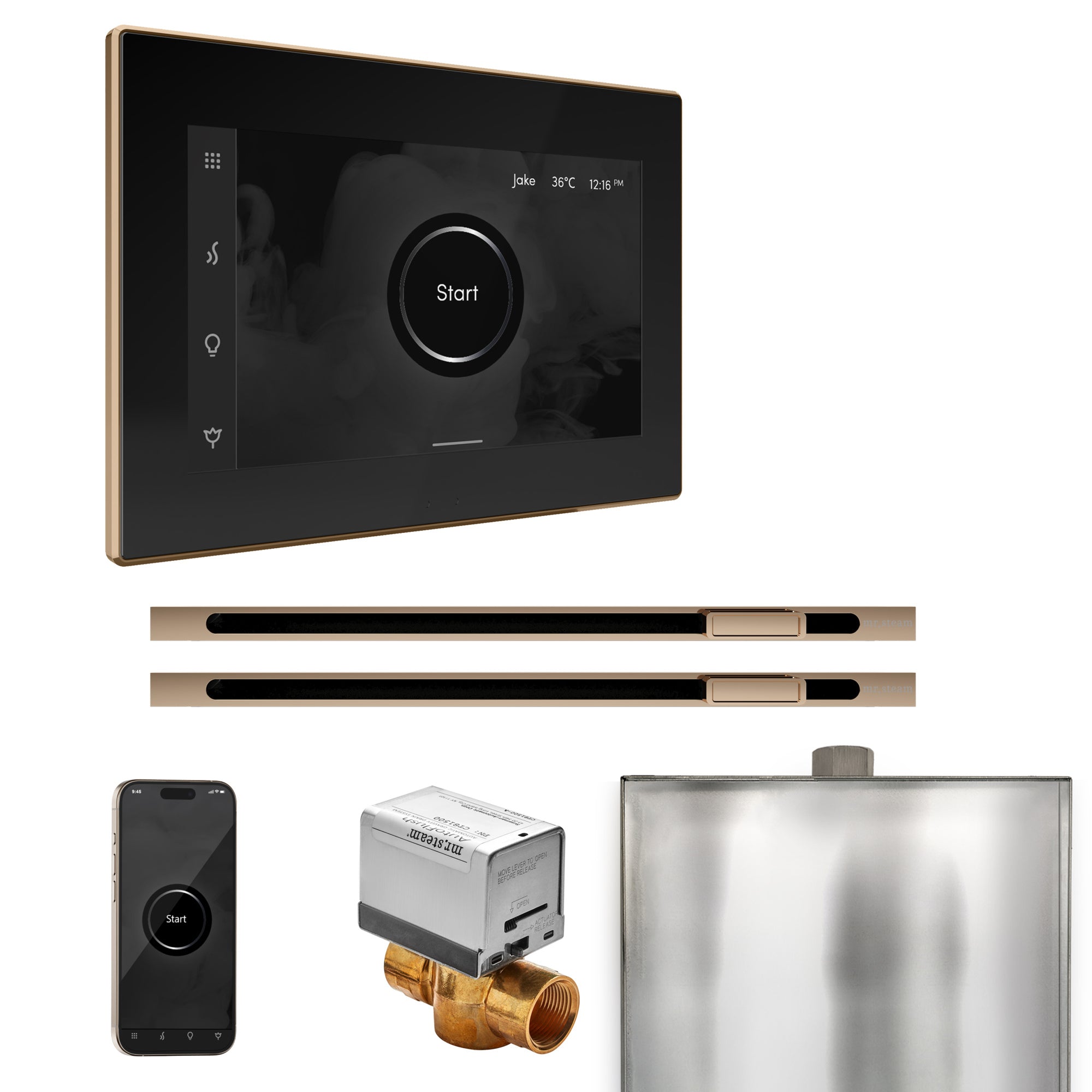 Mr Steam XButler Max Steam Shower Control Package with iSteamX Control and Linear Steamhead by Mr Steam